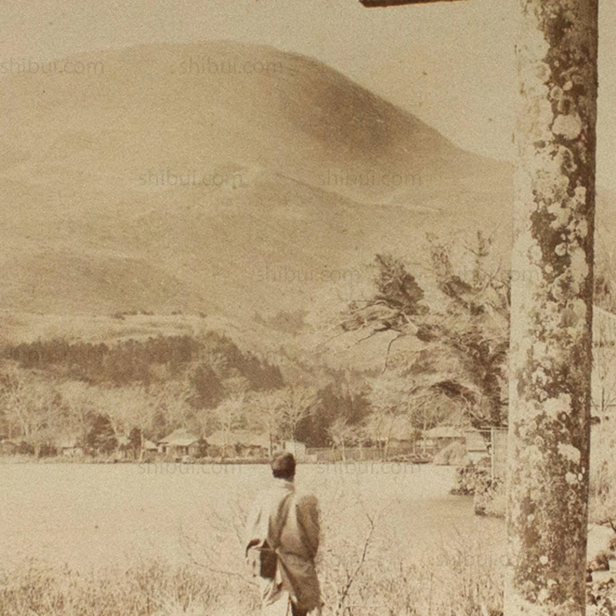 Antique Japanese Albumen Photo of Ashinoko Lake - Image 3