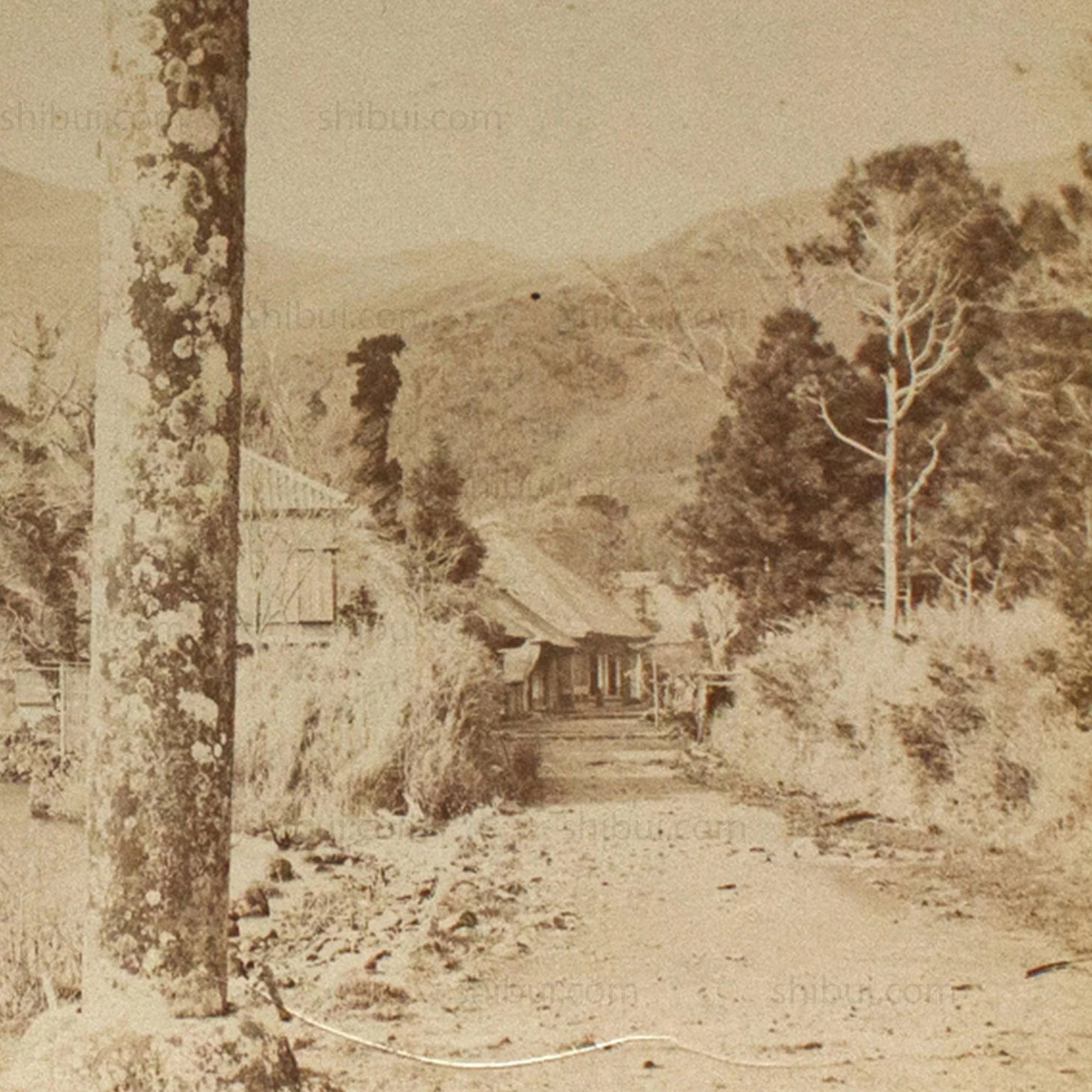 Antique Japanese Albumen Photo of Ashinoko Lake - Image 4
