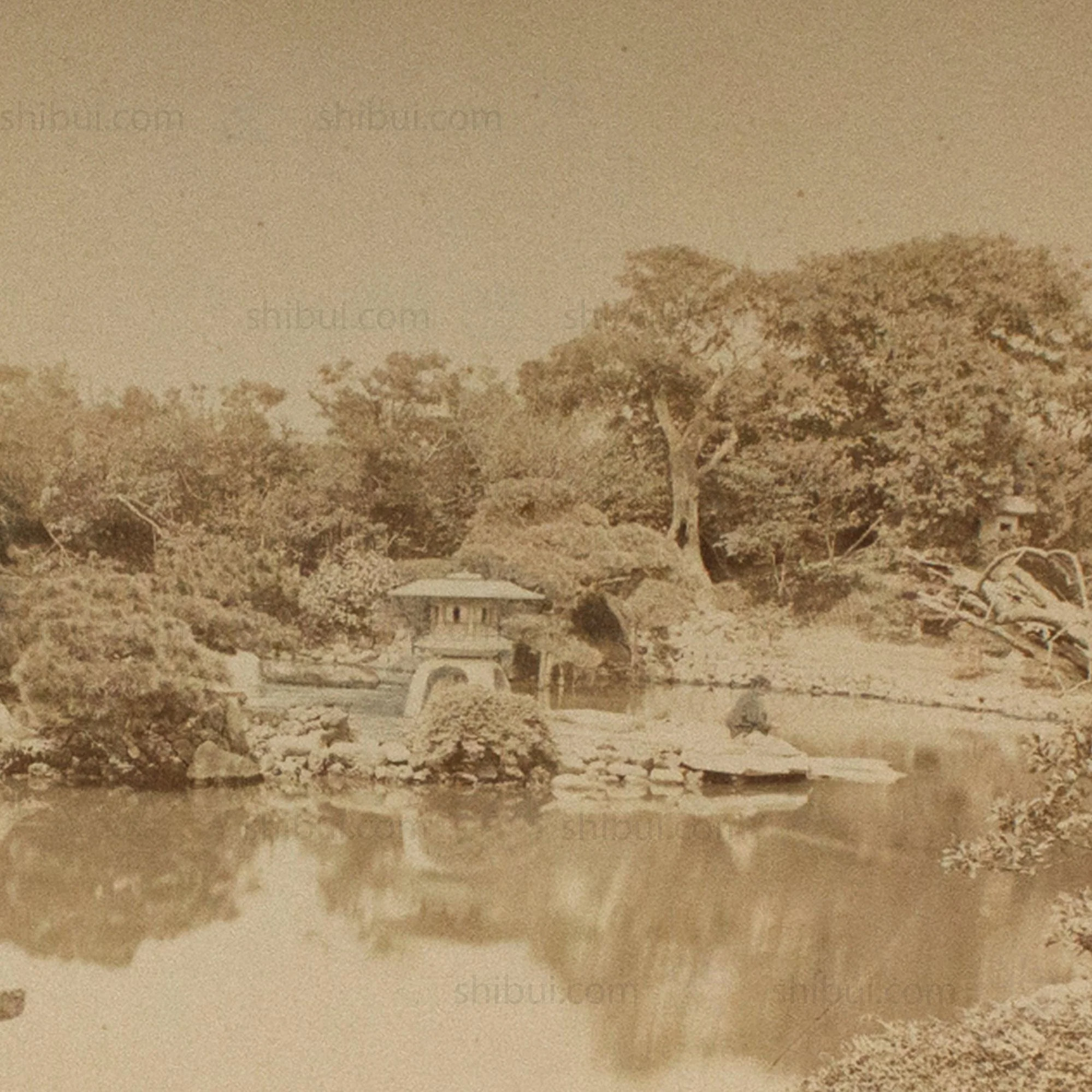 Antique Japanese Albumen Photo of Hotta Garden - Image 3