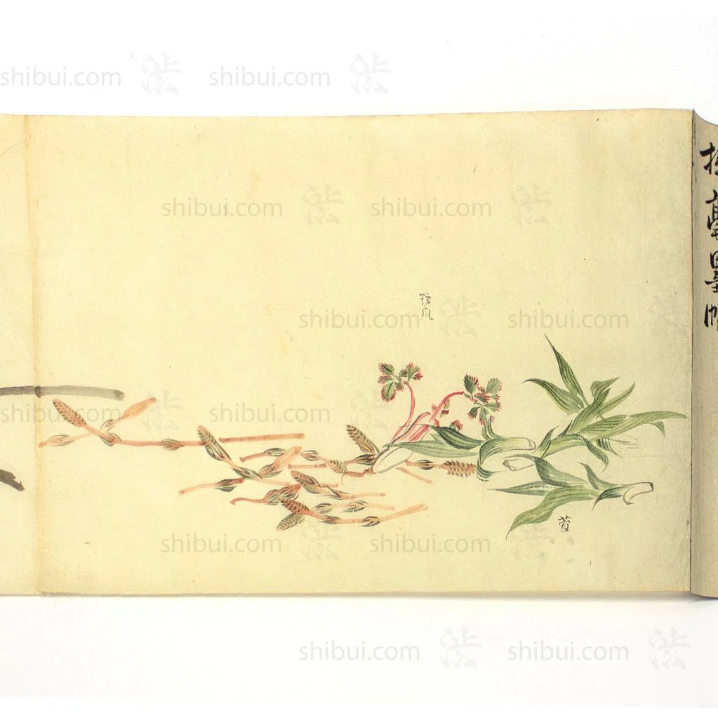 Antique Vegetable Hand Scroll Japanese - Image 13