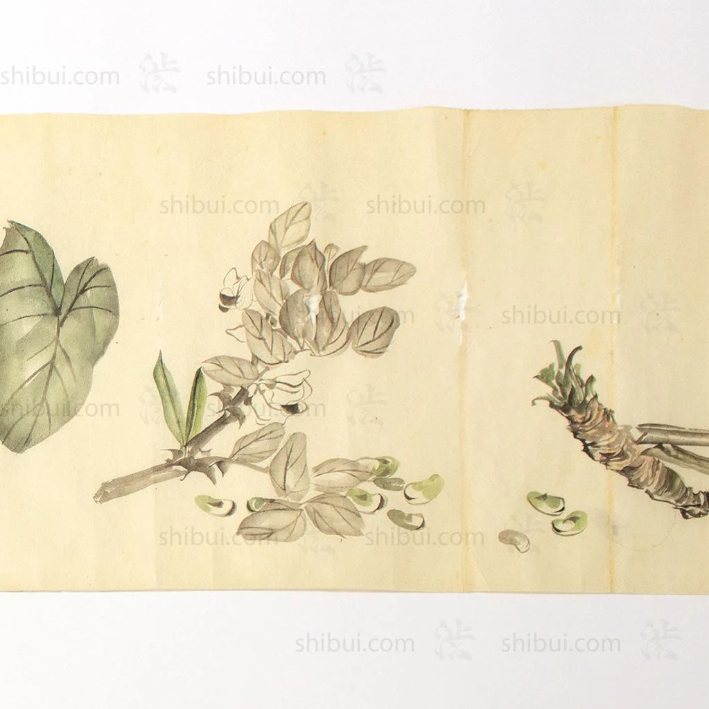 Antique Vegetable Hand Scroll Japanese - Image 16