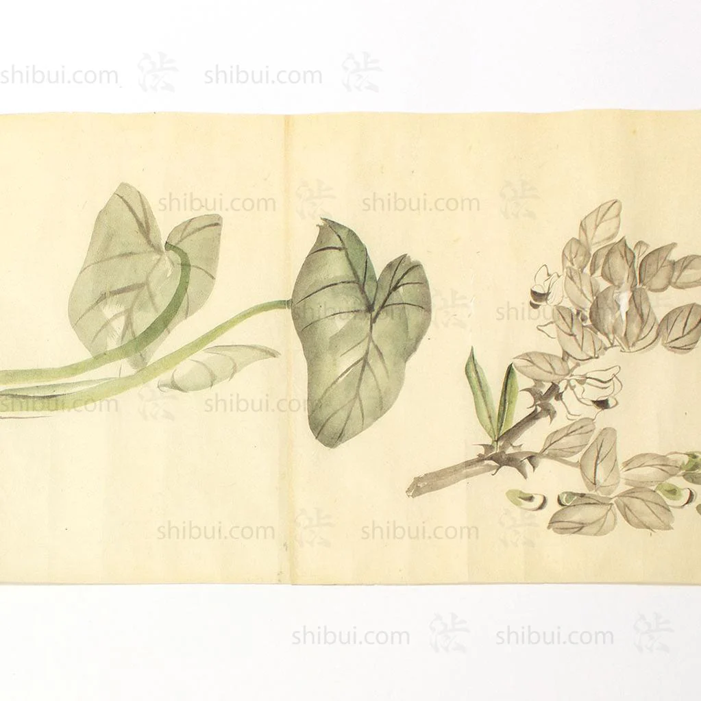 Antique Vegetable Hand Scroll Japanese - Image 17