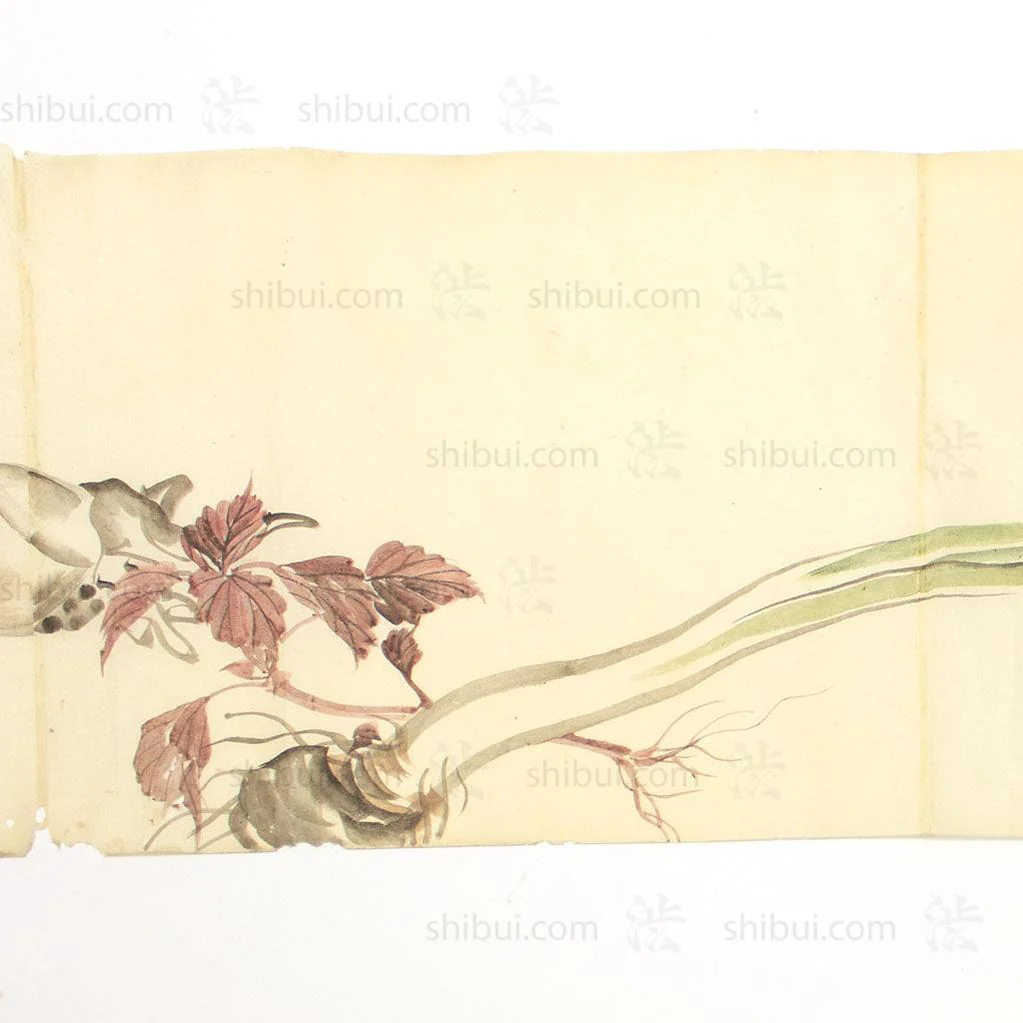 Antique Vegetable Hand Scroll Japanese - Image 18