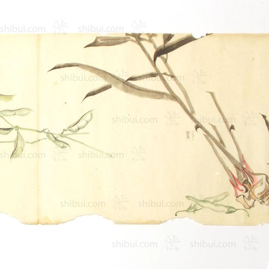 Antique Vegetable Hand Scroll Japanese - Image 2