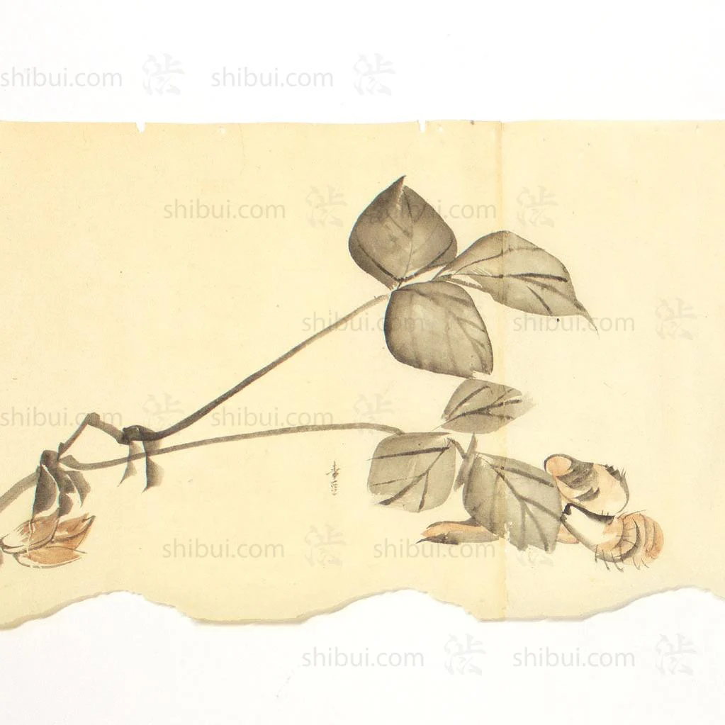 Antique Vegetable Hand Scroll Japanese - Image 5
