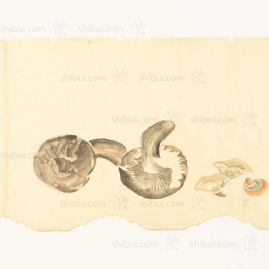 Antique Vegetable Hand Scroll Japanese - Image 6