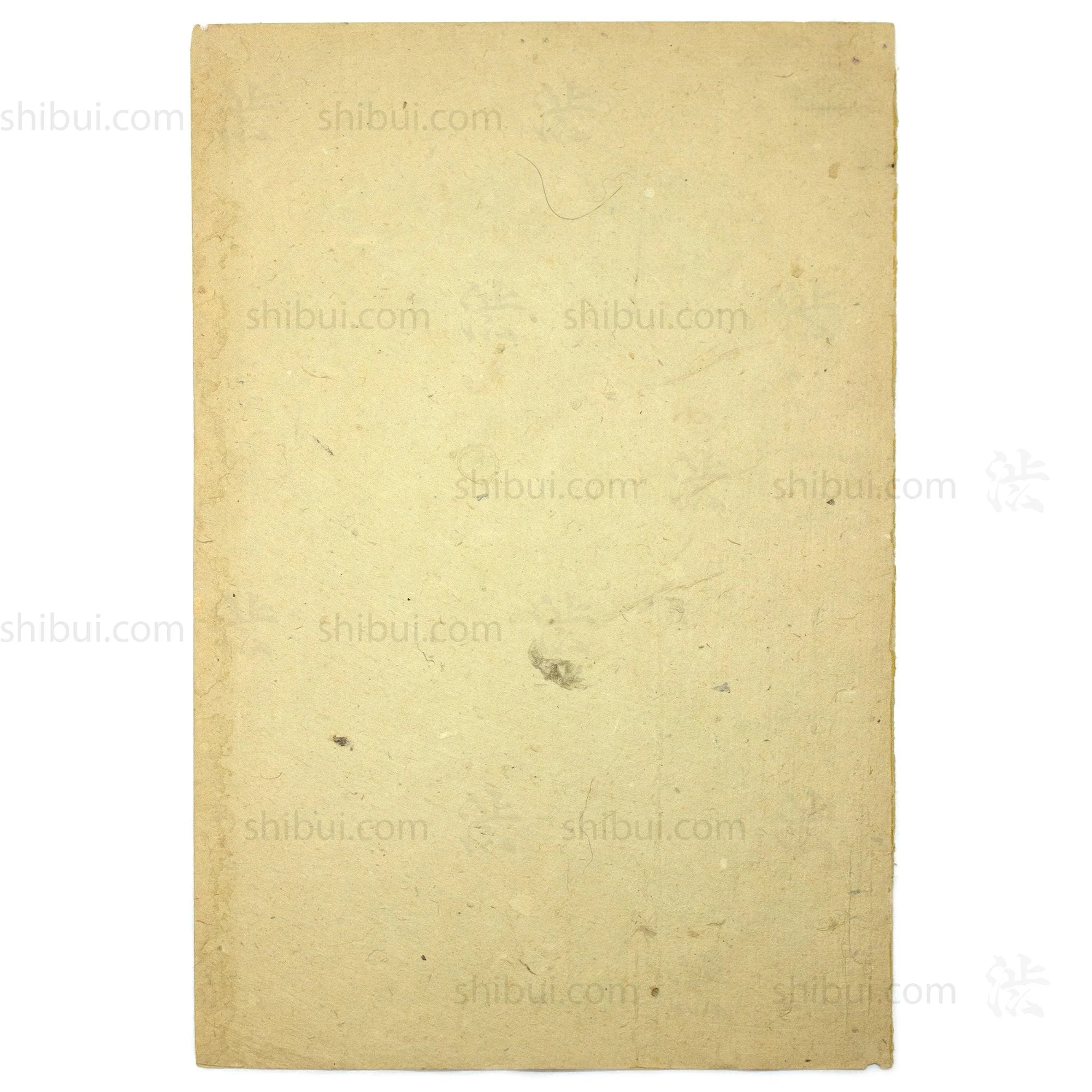 Castaway Print | 1874 Japanese Wood Block Newspaper Print - Image 4
