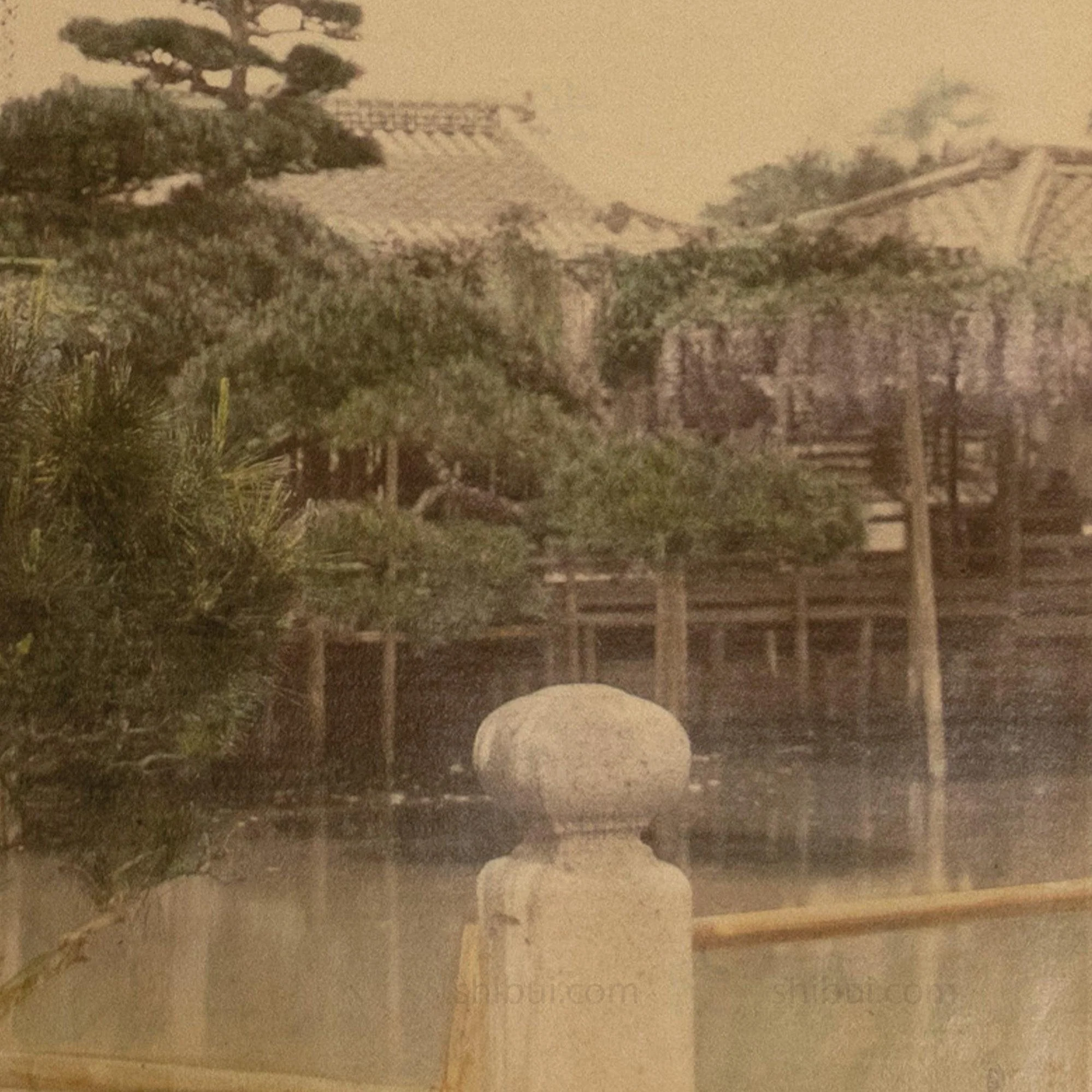 Japanese Antique Hand Tinted Albumen Photo of Wistera - Image 5