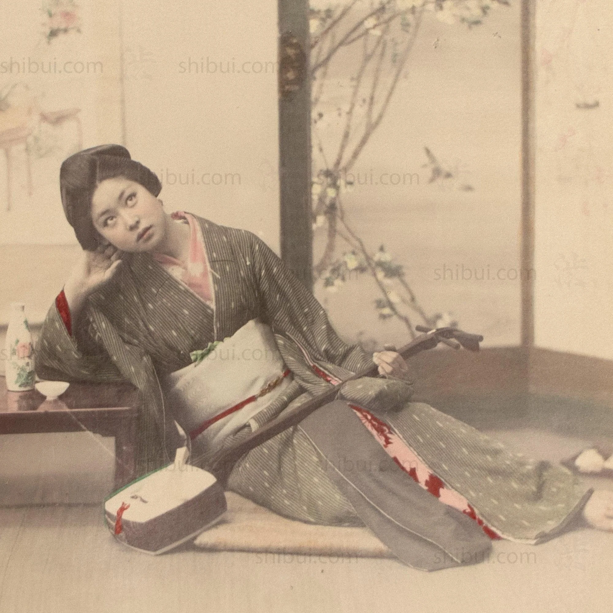 Female Musician |  Hand Tinted Japanese Albumen Photograph - Image 4