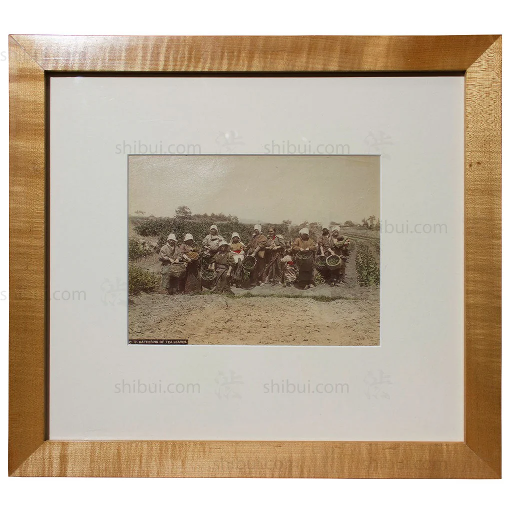 Framed Hand-tinted Meiji Era Photograph | Gathering of Tea Leaves | Japanese Antique Photography | Albumen Photography | Japanese Decor - Image 2