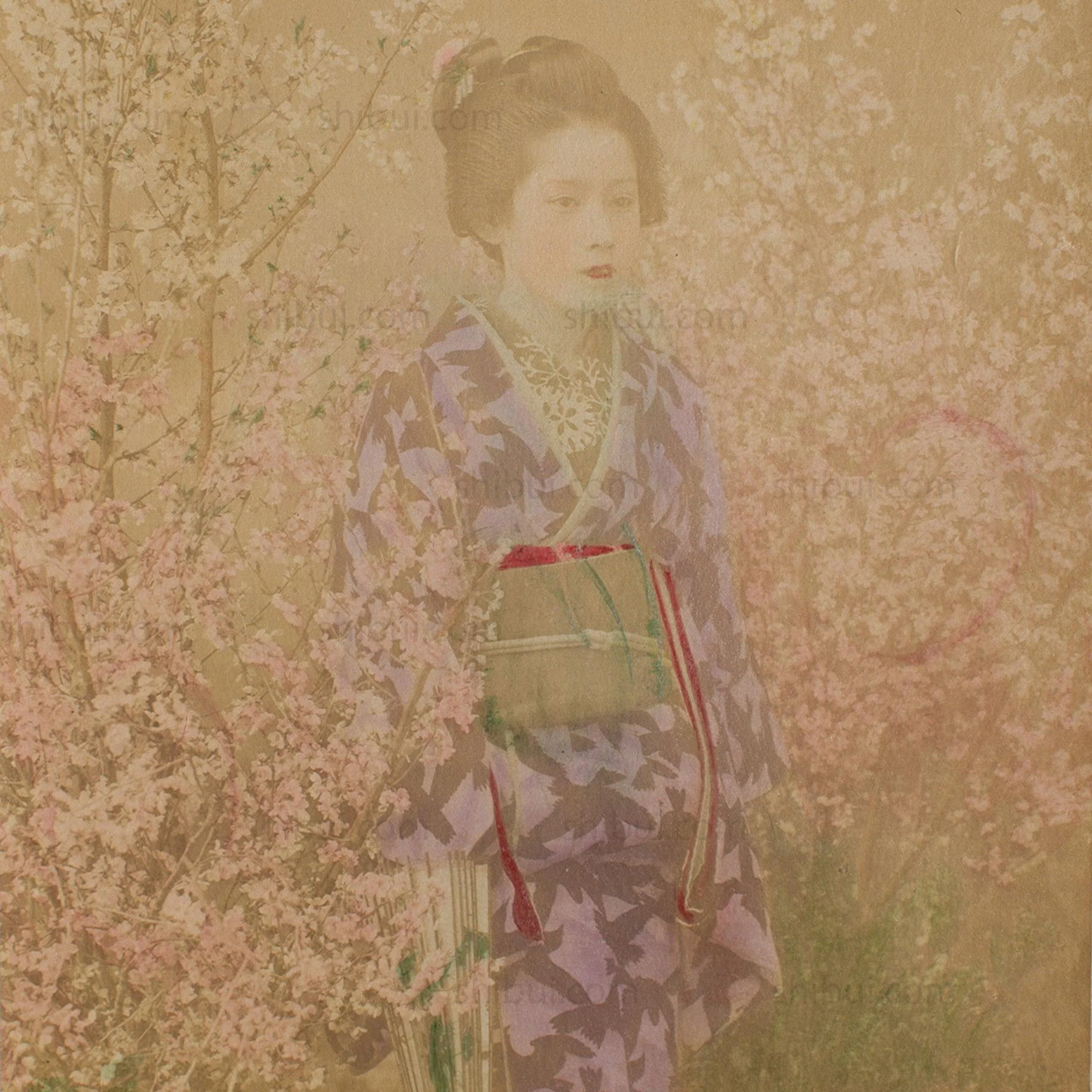 Hand Tinted Albumen of a Geisha | Antique Japanese Photograph - Image 2