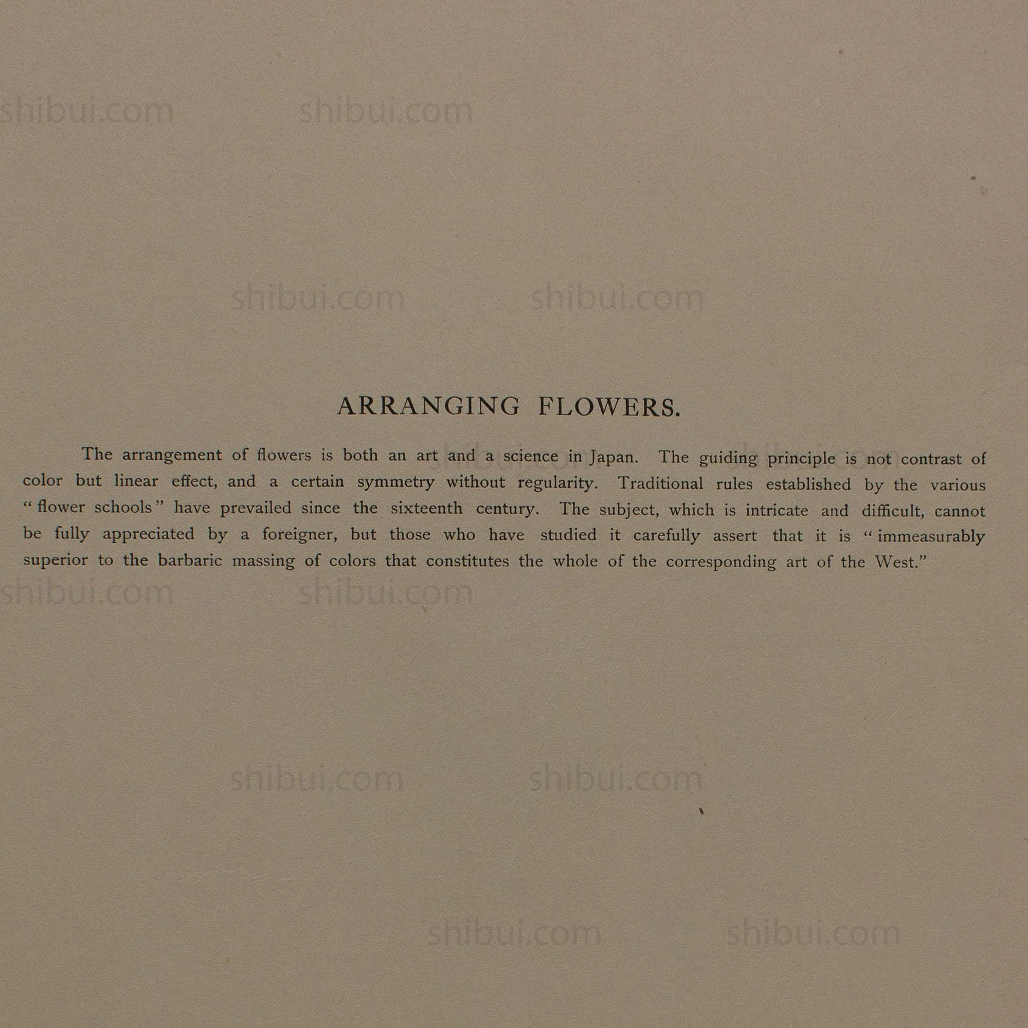 Hand Tinted Albumen of Ikebana  Flower Arranging | Antique Japanese Photograph - Image 2