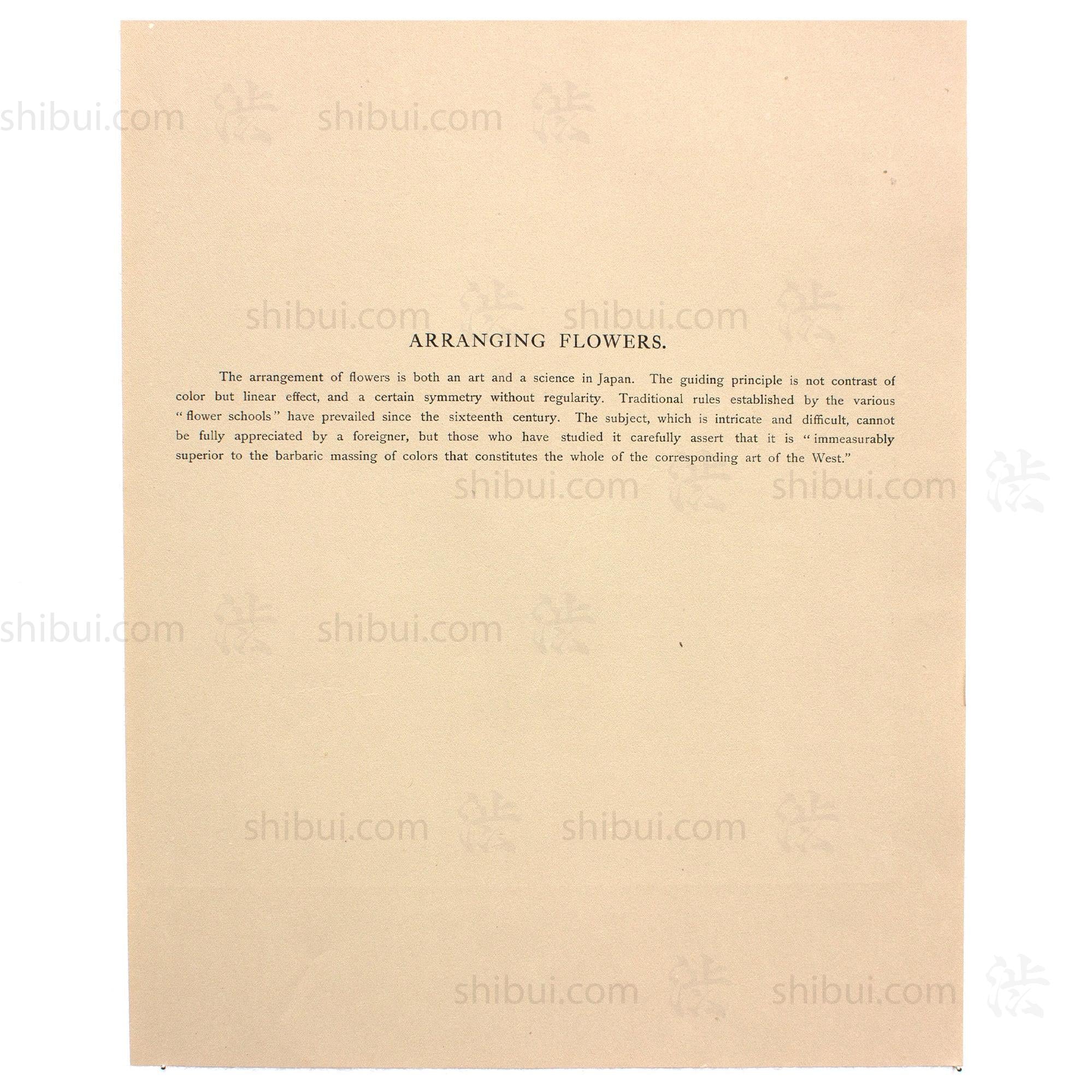 Hand Tinted Albumen of Ikebana  Flower Arranging | Antique Japanese Photograph - Image 6