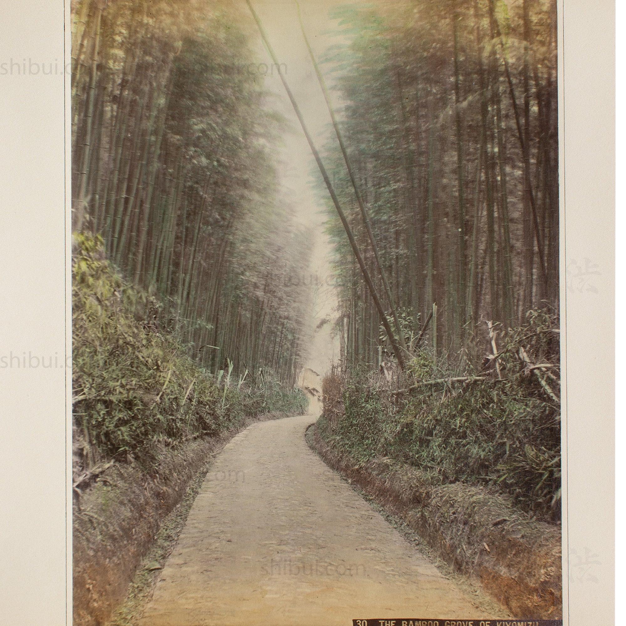 Hand Tinted Albumen of Kiyomizu Bamboo Grove | Antique Japanese Photograph - Image 2