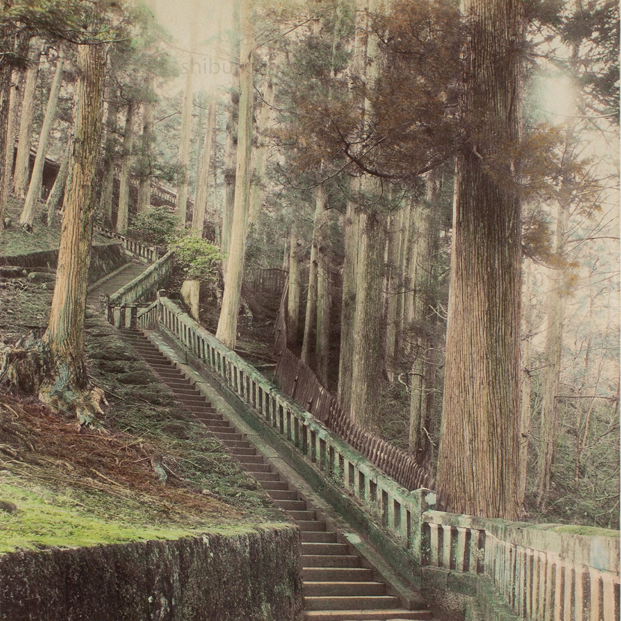 Hand Tinted Albumen of Stone Steps | Antique Japanese Photograph - Image 3