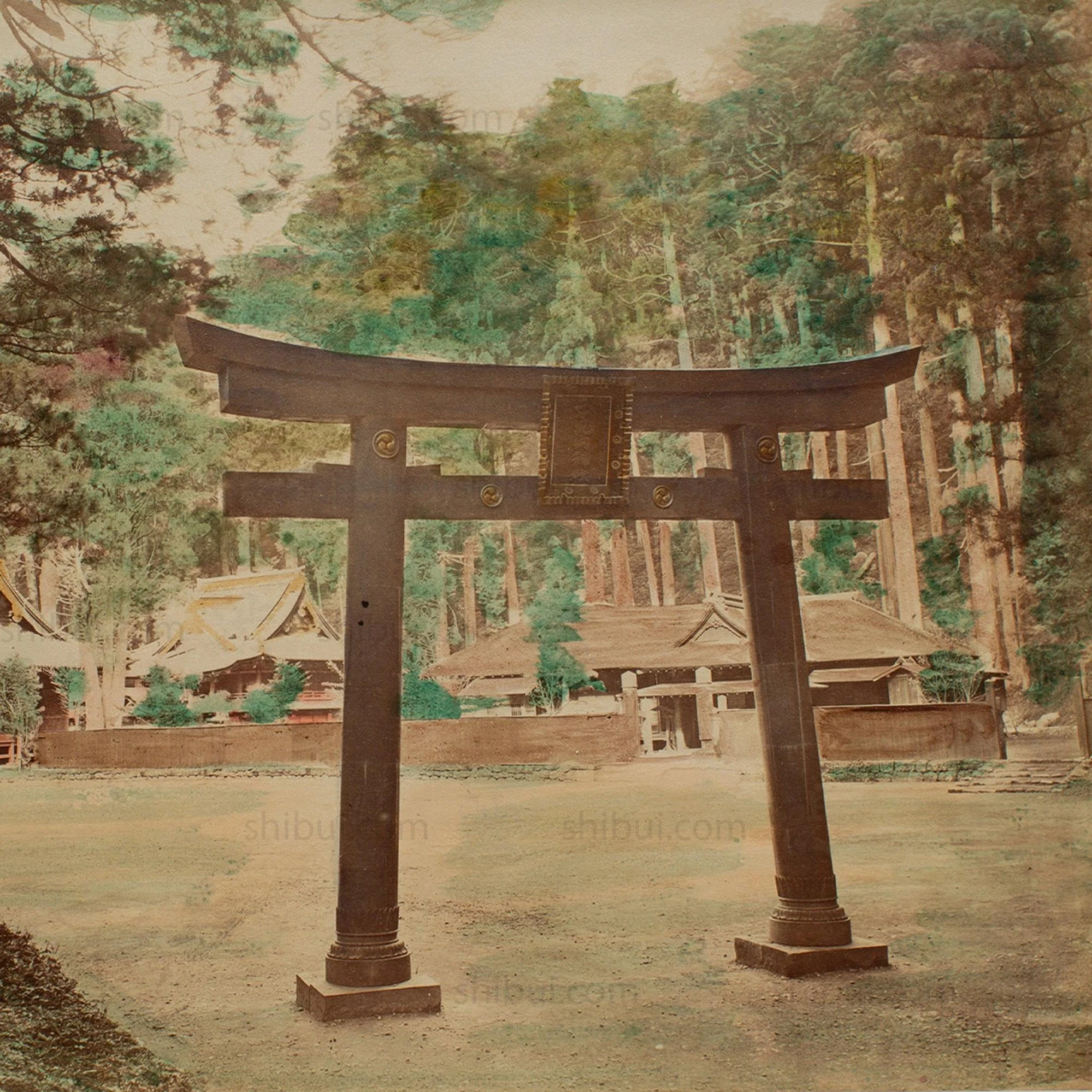 Hand Tinted Albumen of Torii Gate | Antique Japanese Photograph - Image 3
