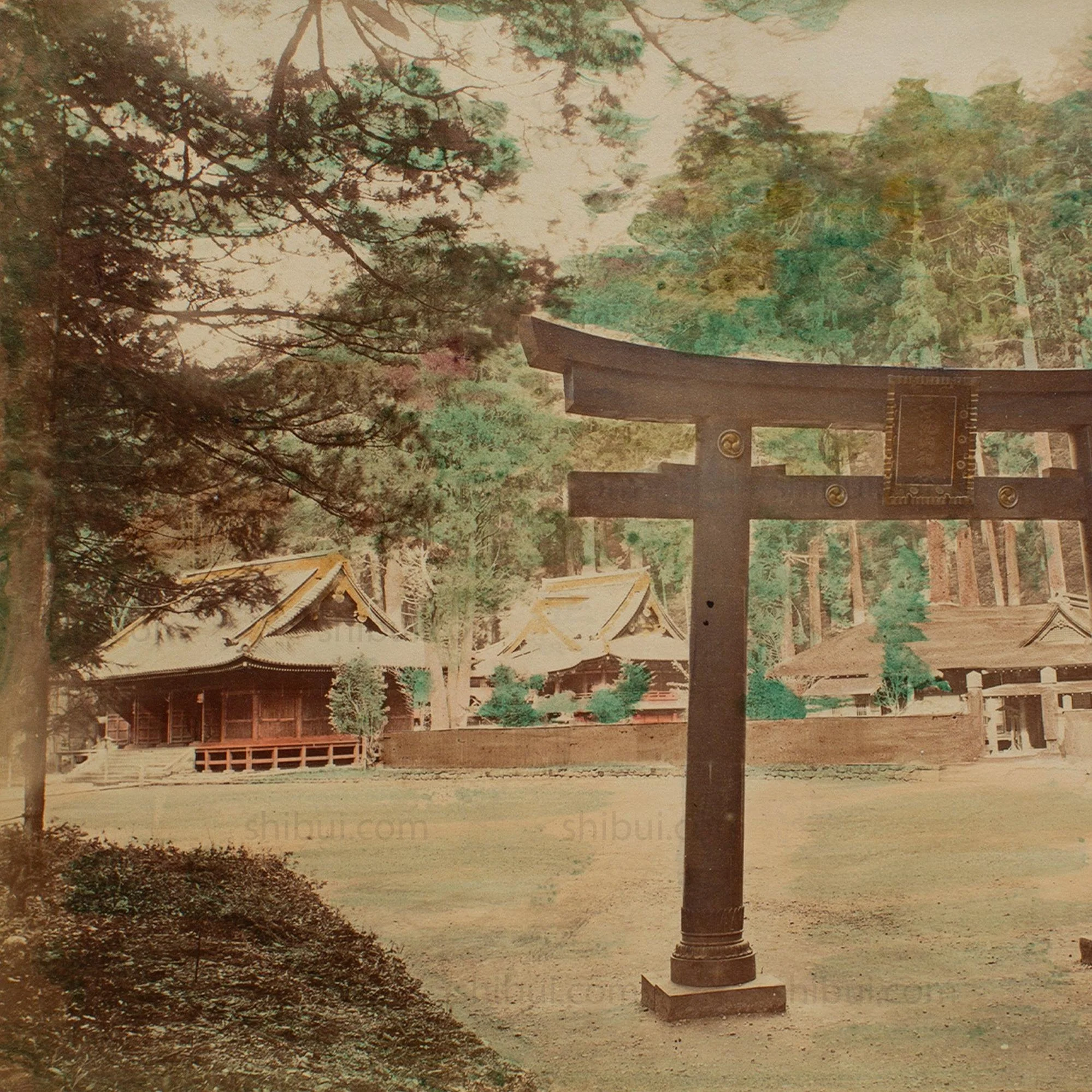 Hand Tinted Albumen of Torii Gate | Antique Japanese Photograph - Image 4