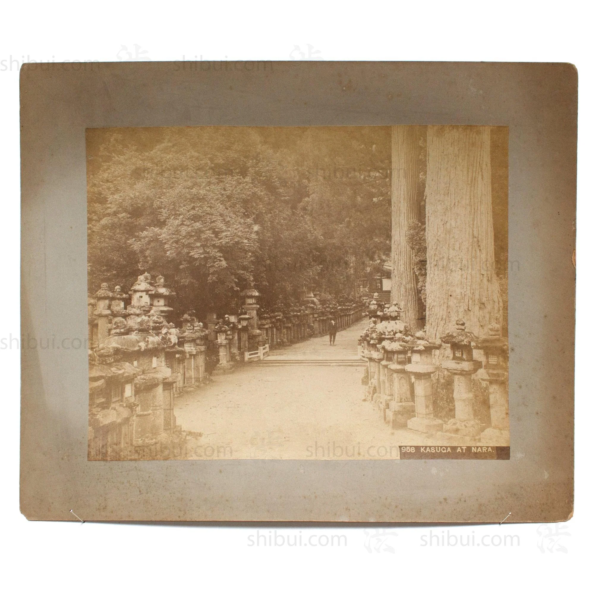 Hand Tinted Antique Japanese Albumen Photo of Kasuga Park