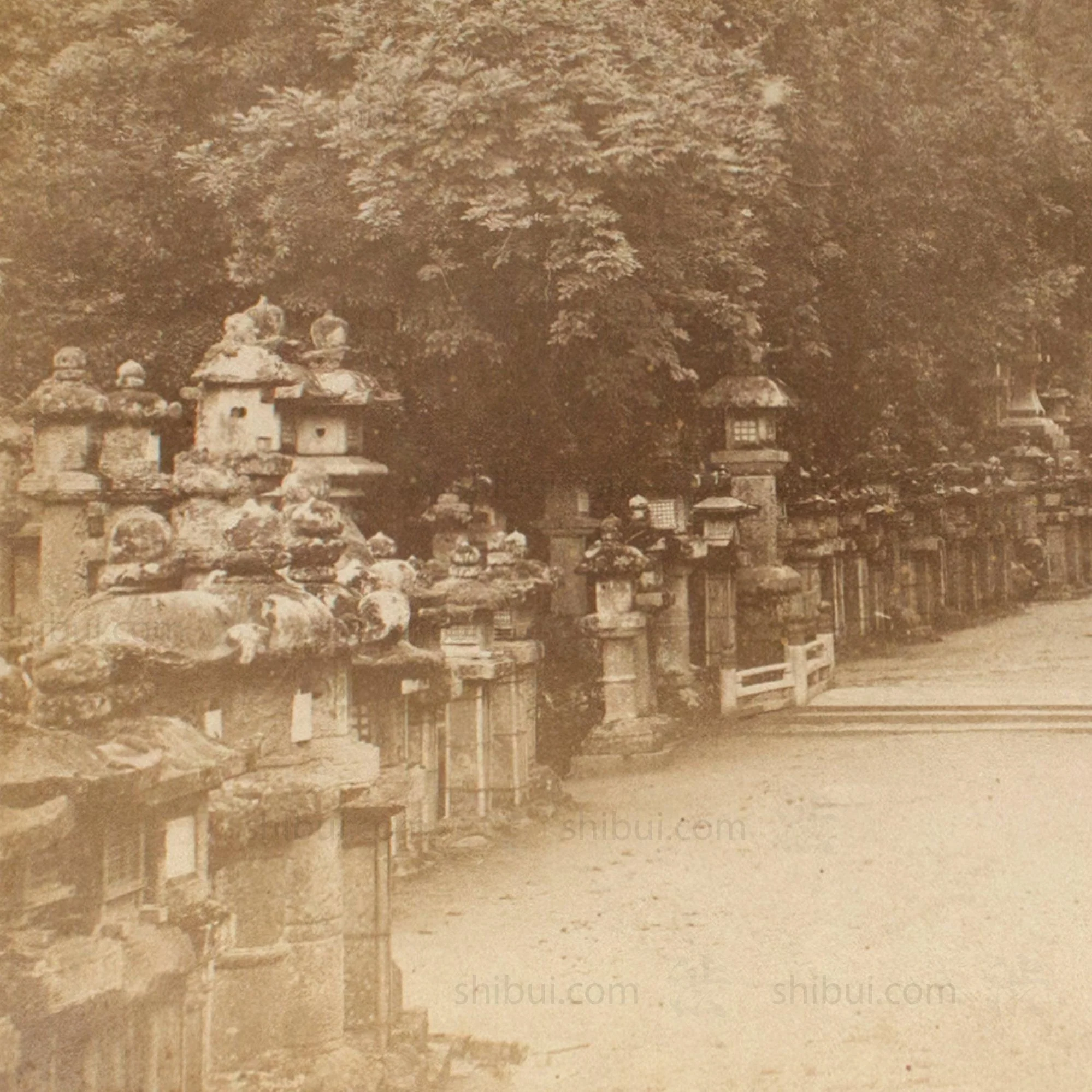 Hand Tinted Antique Japanese Albumen Photo of Kasuga Park - Image 2