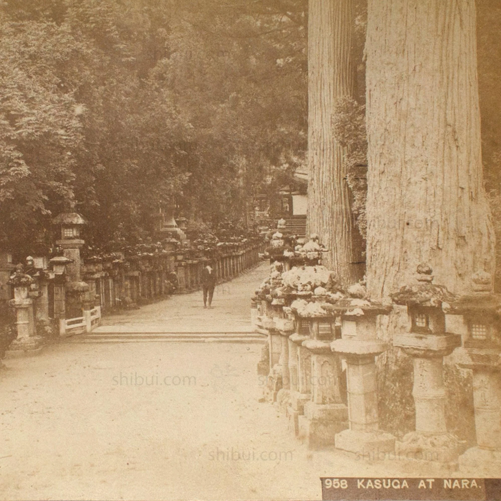 Hand Tinted Antique Japanese Albumen Photo of Kasuga Park - Image 3