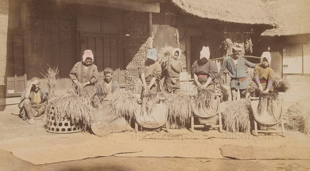 Hand-tinted Meiji Era Photograph | Rice Threshers | Japanese Antique Photography | Albumen Photography | Japanese Decor - Image 2