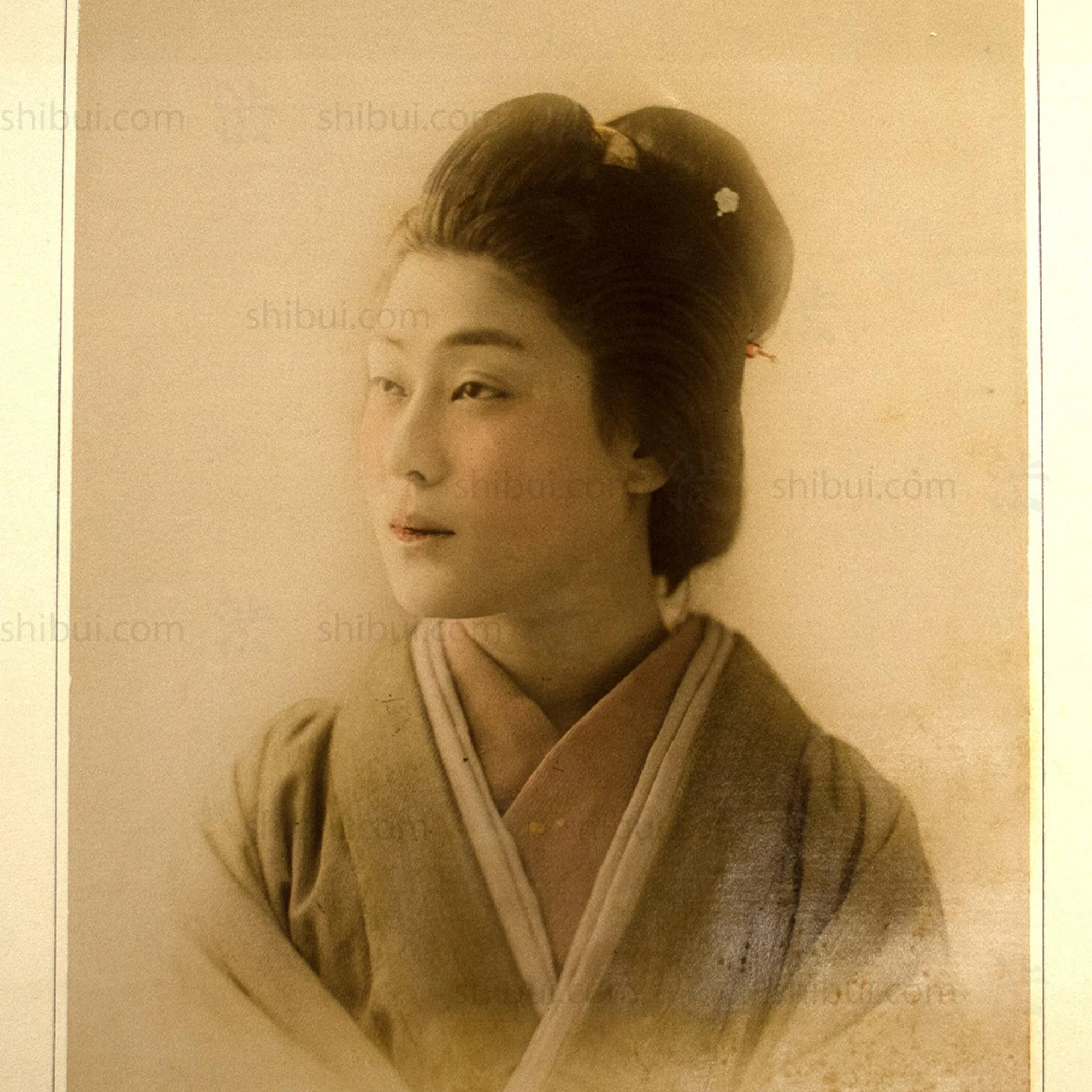 Hand Tinted Antique Japanese Albumen Portrait of a Woman - Image 3