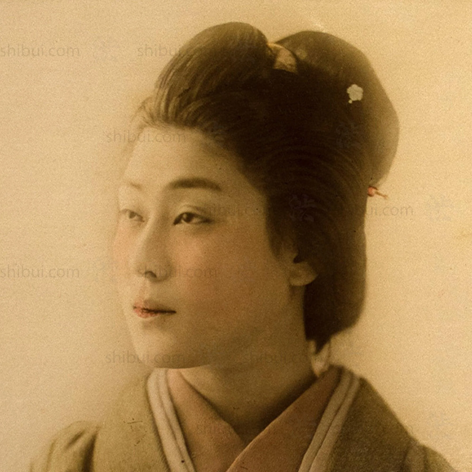 Hand Tinted Antique Japanese Albumen Portrait of a Woman - Image 4