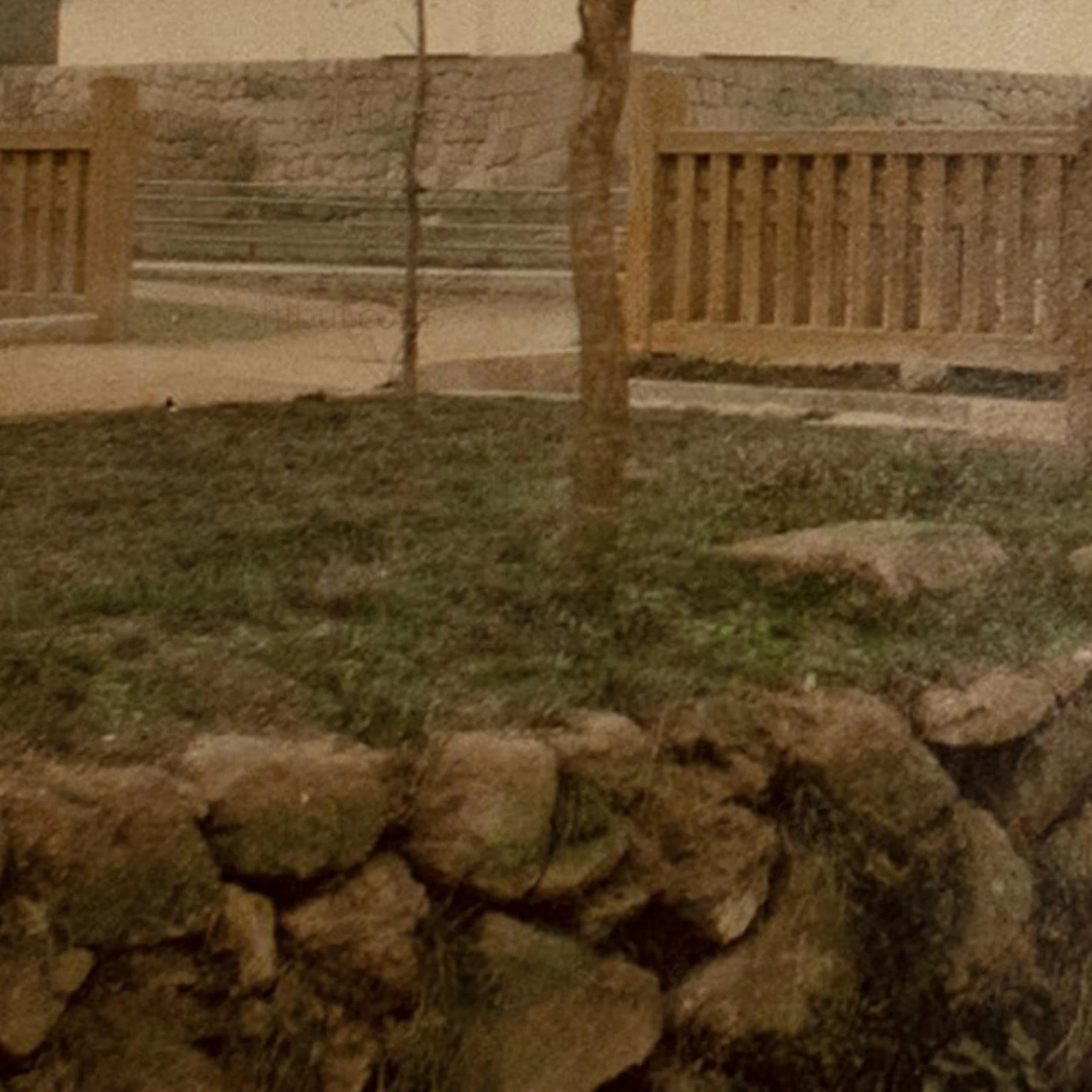 Hand Tinted Antique Japanese Albumen Photo of Nijo Castle - Image 3
