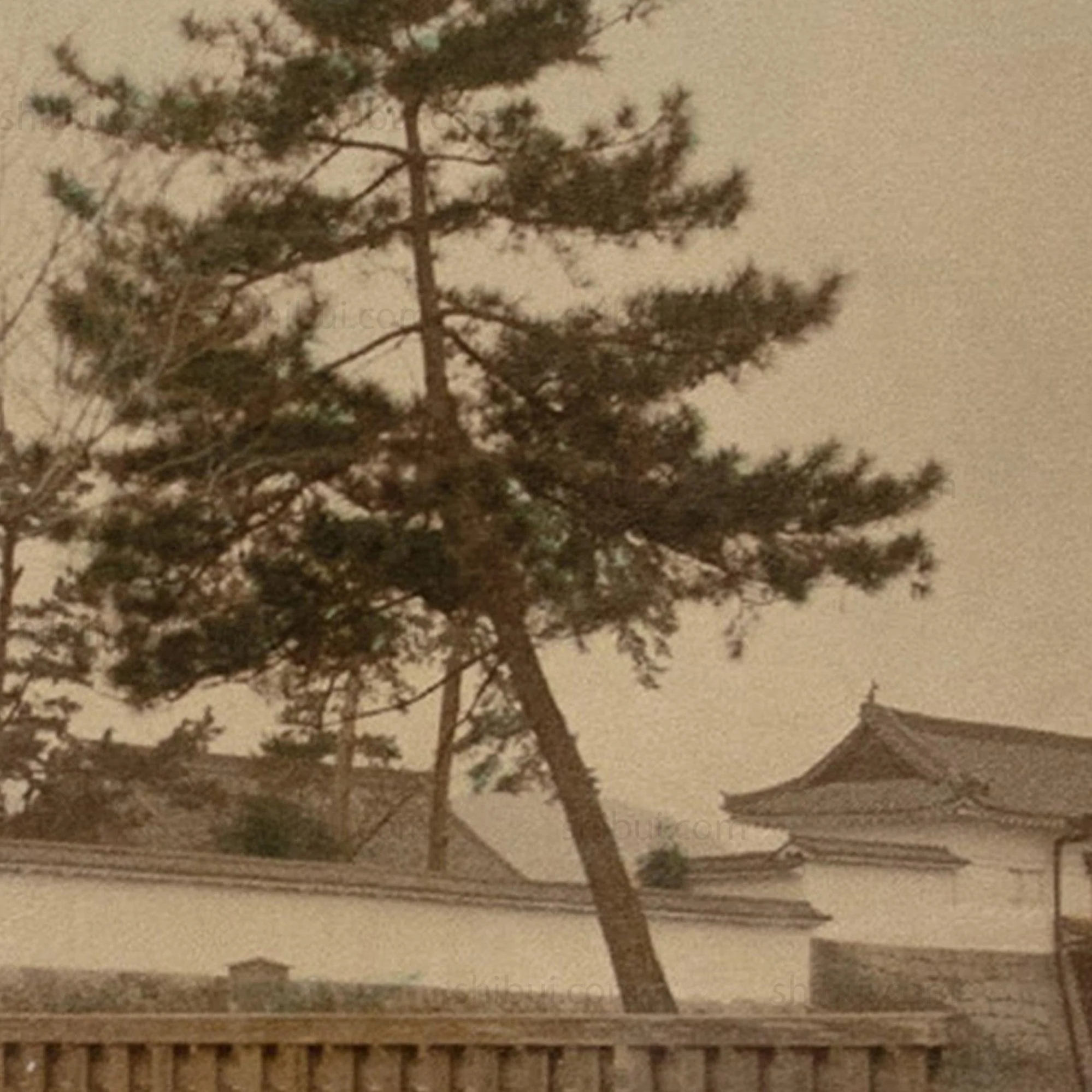 Hand Tinted Antique Japanese Albumen Photo of Nijo Castle - Image 4