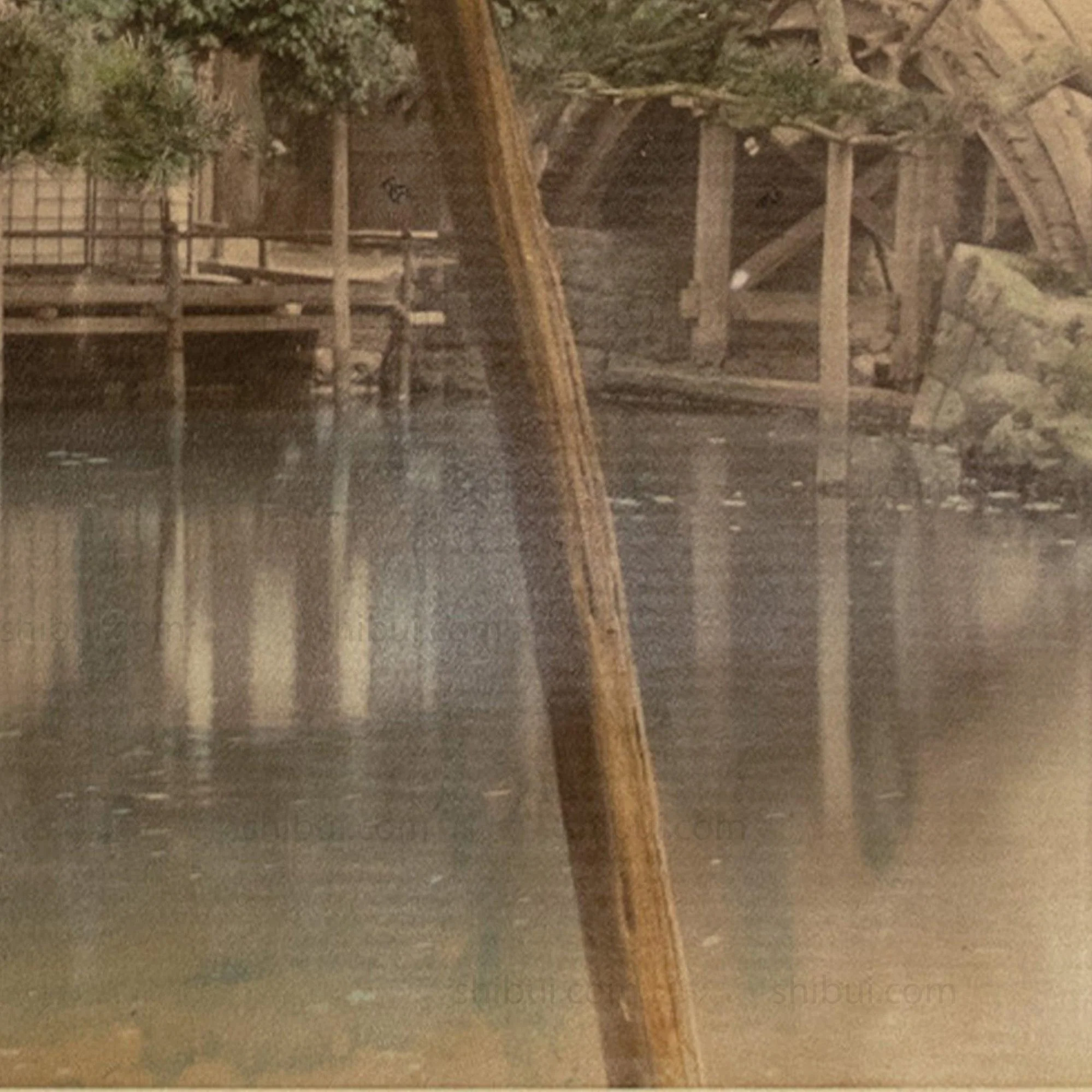 Hand Tinted Antique Japanese Albumen Photo of Wisteria - Image 5