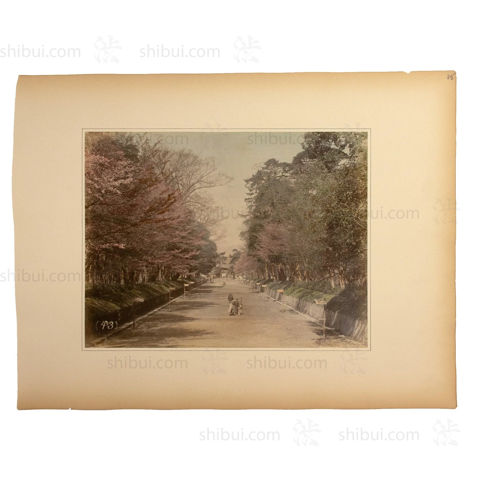 Hand Tinted Albumen Photograph of a Parkway - Image 2