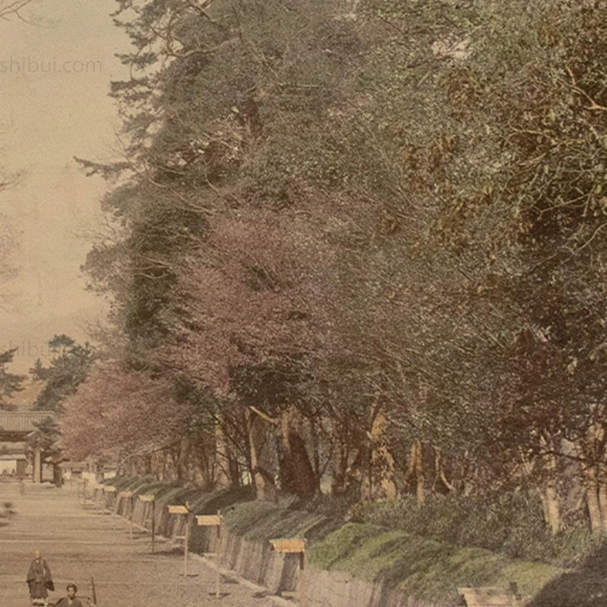 Hand Tinted Albumen Photograph of a Parkway - Image 3