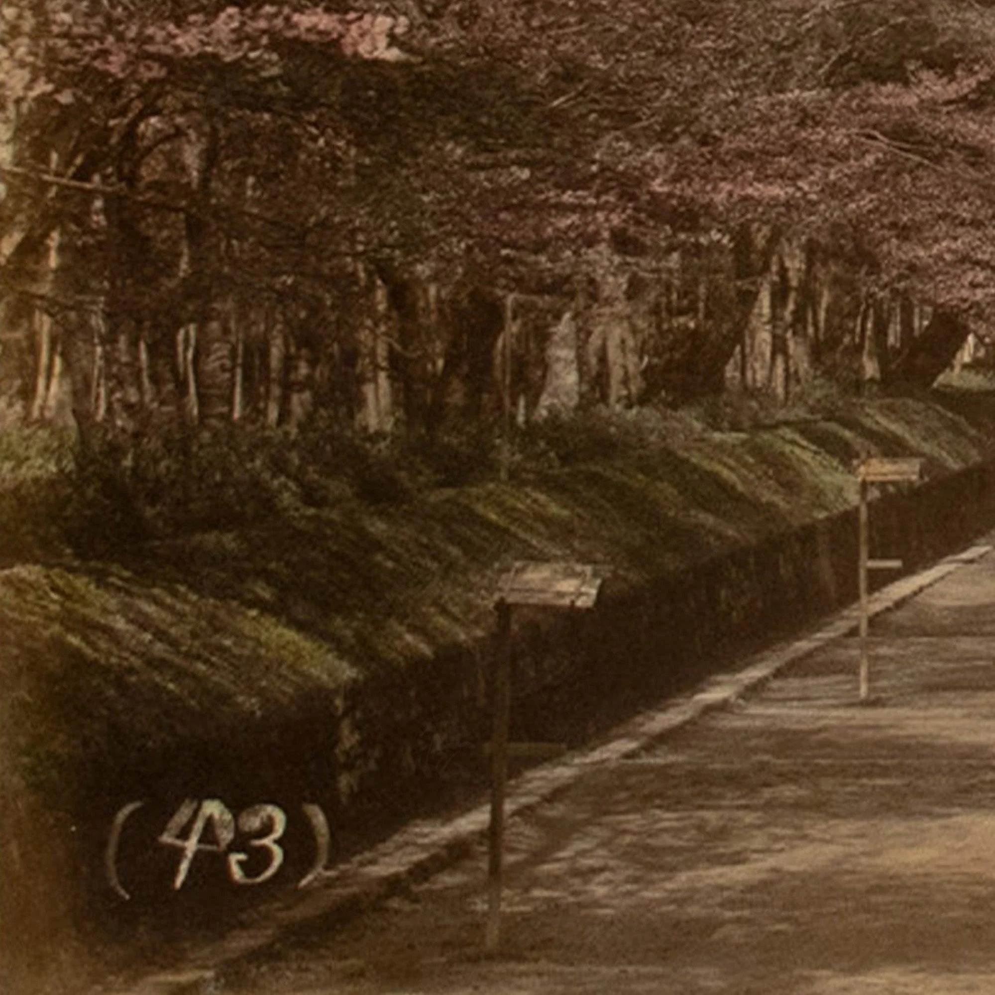 Hand Tinted Albumen Photograph of a Parkway - Image 4