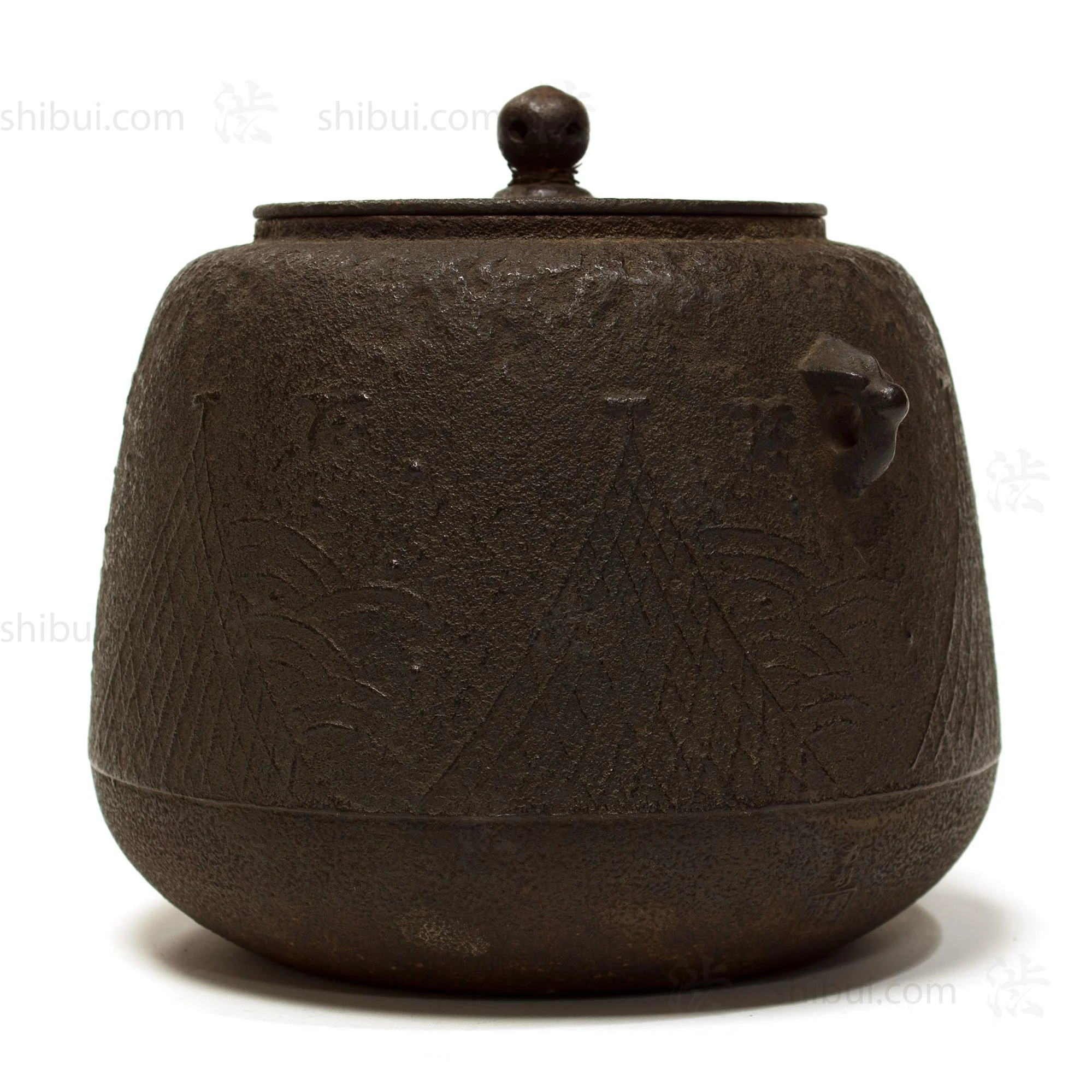 Chagama - Cast Iron Kettle for Japanse Tea Ceremony - Image 4