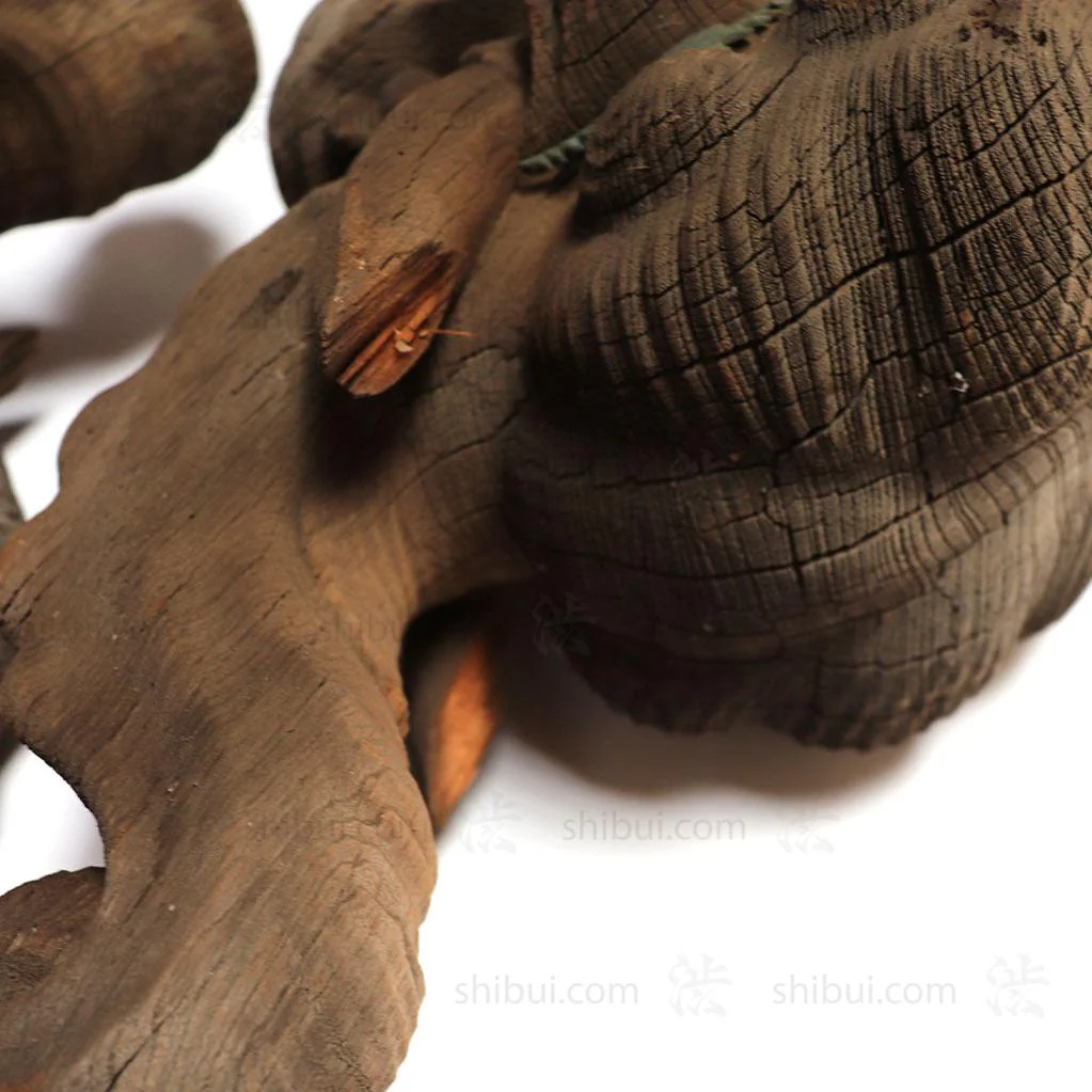 Large Pair of Japanese Antique Hand Carved Hardwood Baku Carvings - Image 5