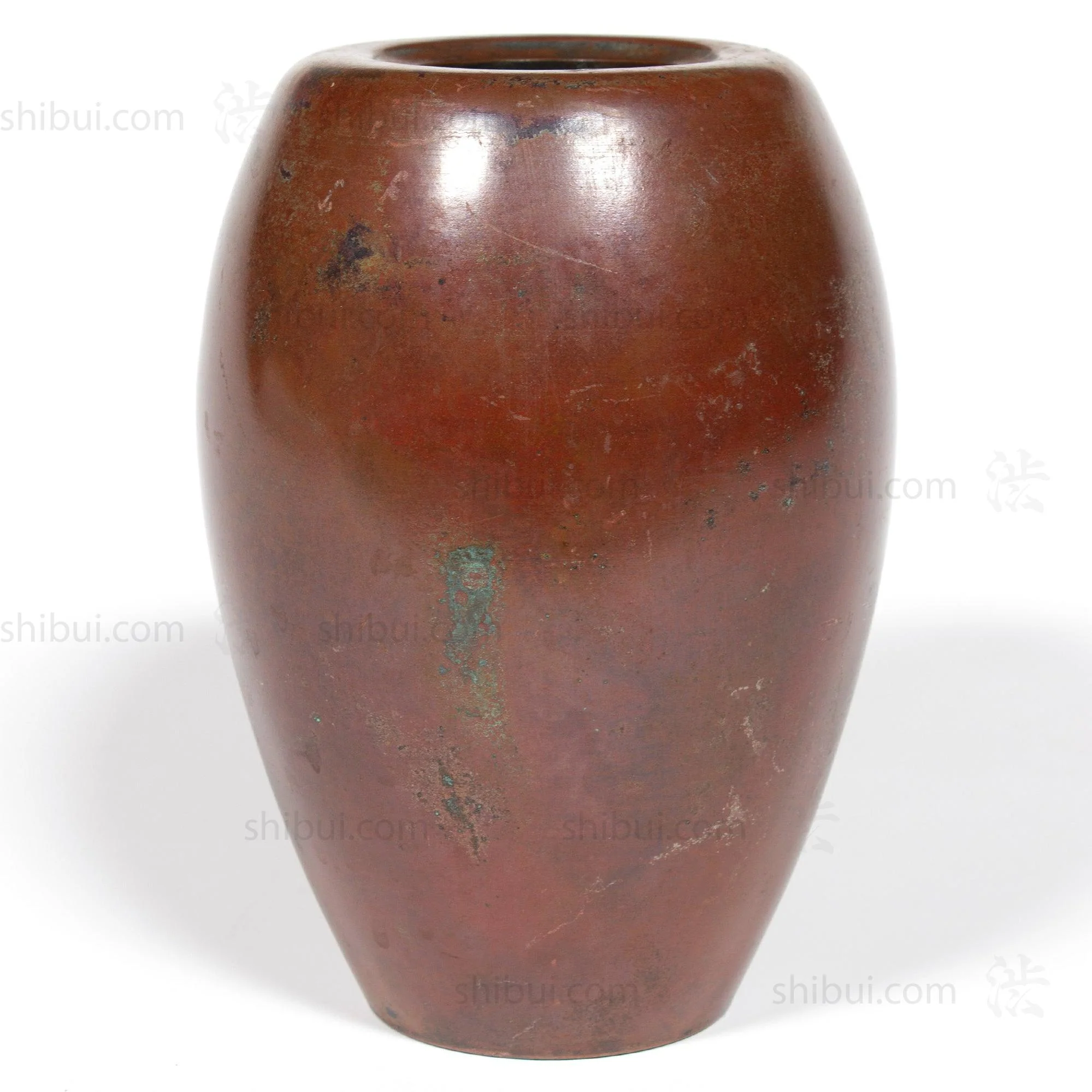 Large Vintage Bronze Flower Vase