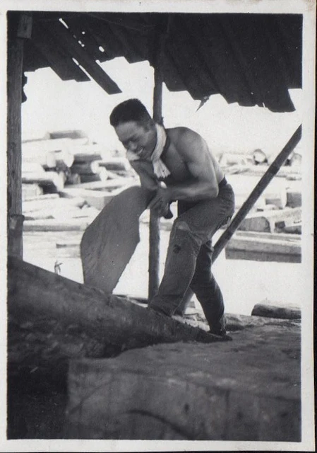 Maebiki Oga - Japanese One Man Rip Saw - Image 10
