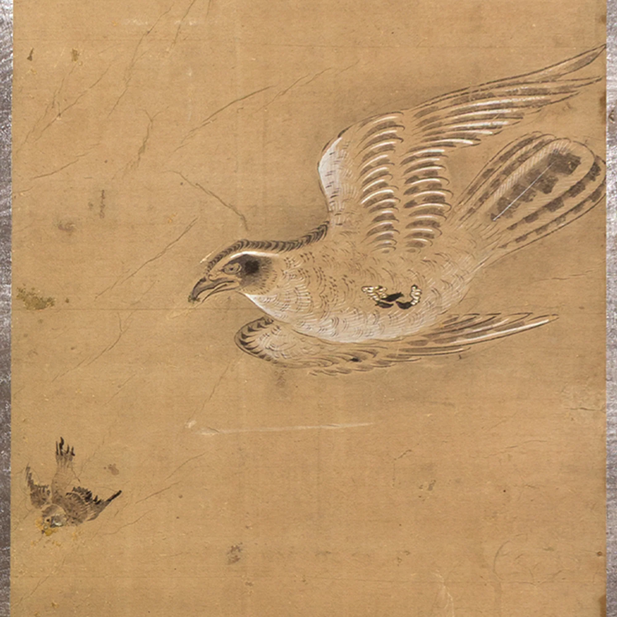 Pair of Mounted Hawk Paintings - Image 6