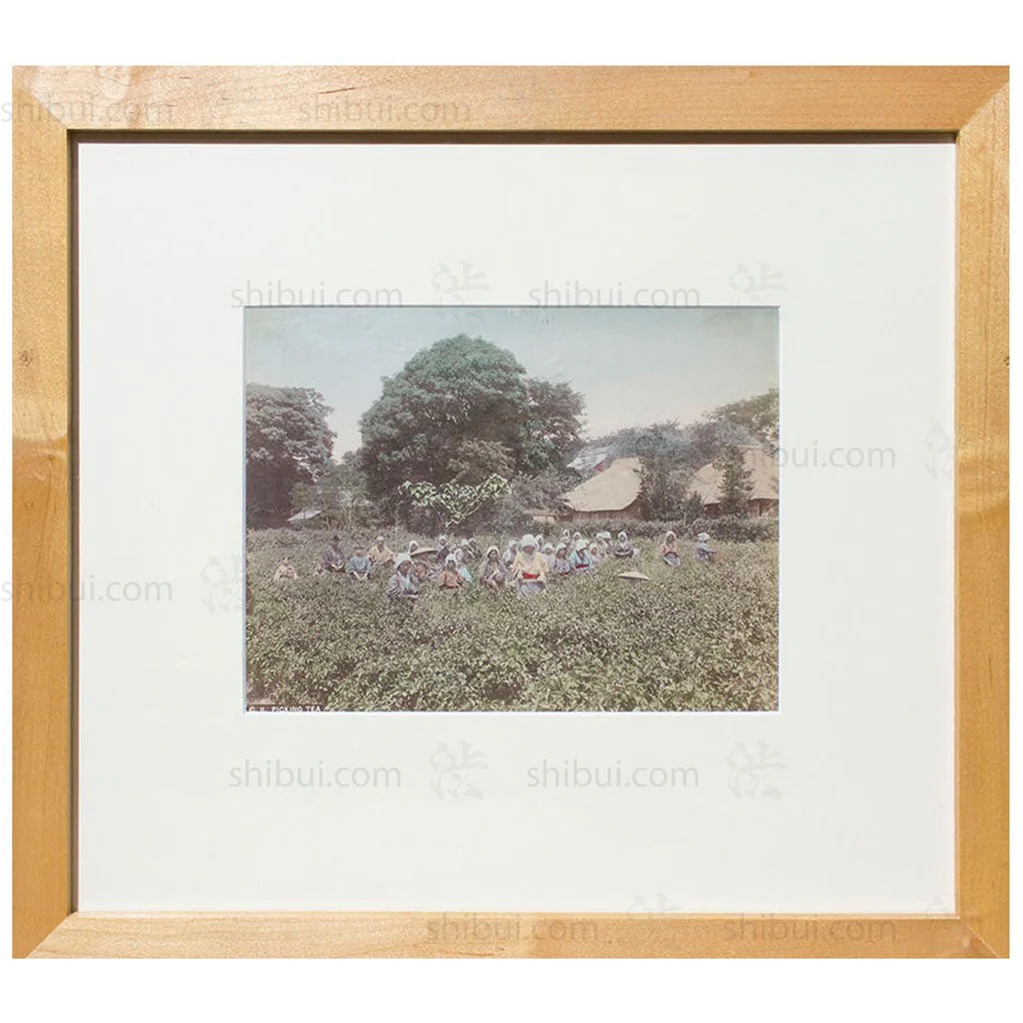 Framed Hand-tinted Meiji Era Photograph | Picking Tea | Japanese Antique Photography | Albumen Photography | Japanese Decor - Image 2
