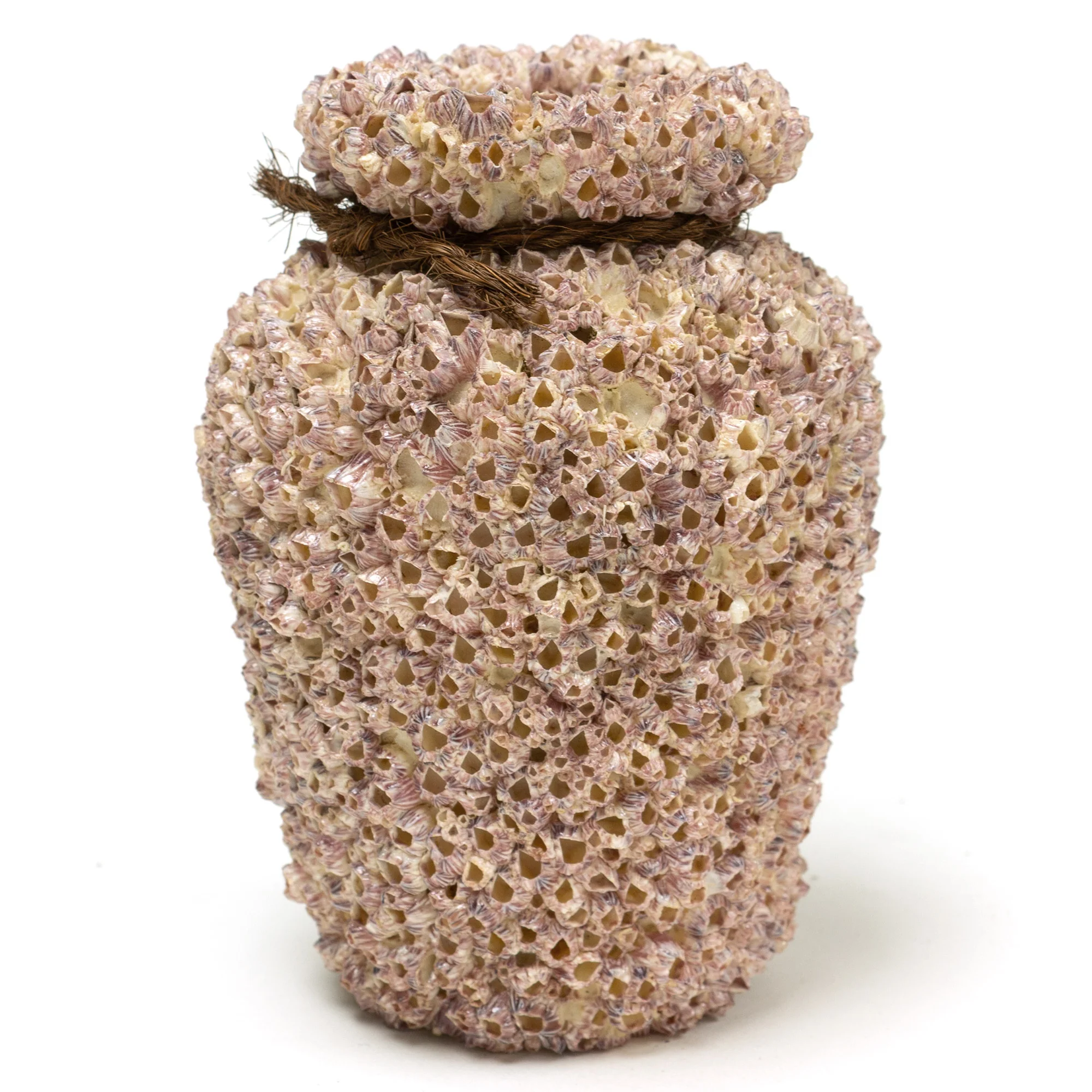 Small Takotsubo | Barnacle Encrusted Antique Japanese Pot