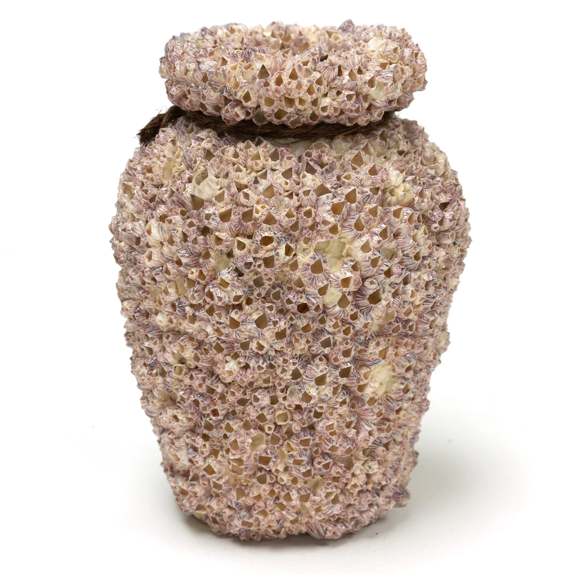 Small Takotsubo | Barnacle Encrusted Antique Japanese Pot - Image 2