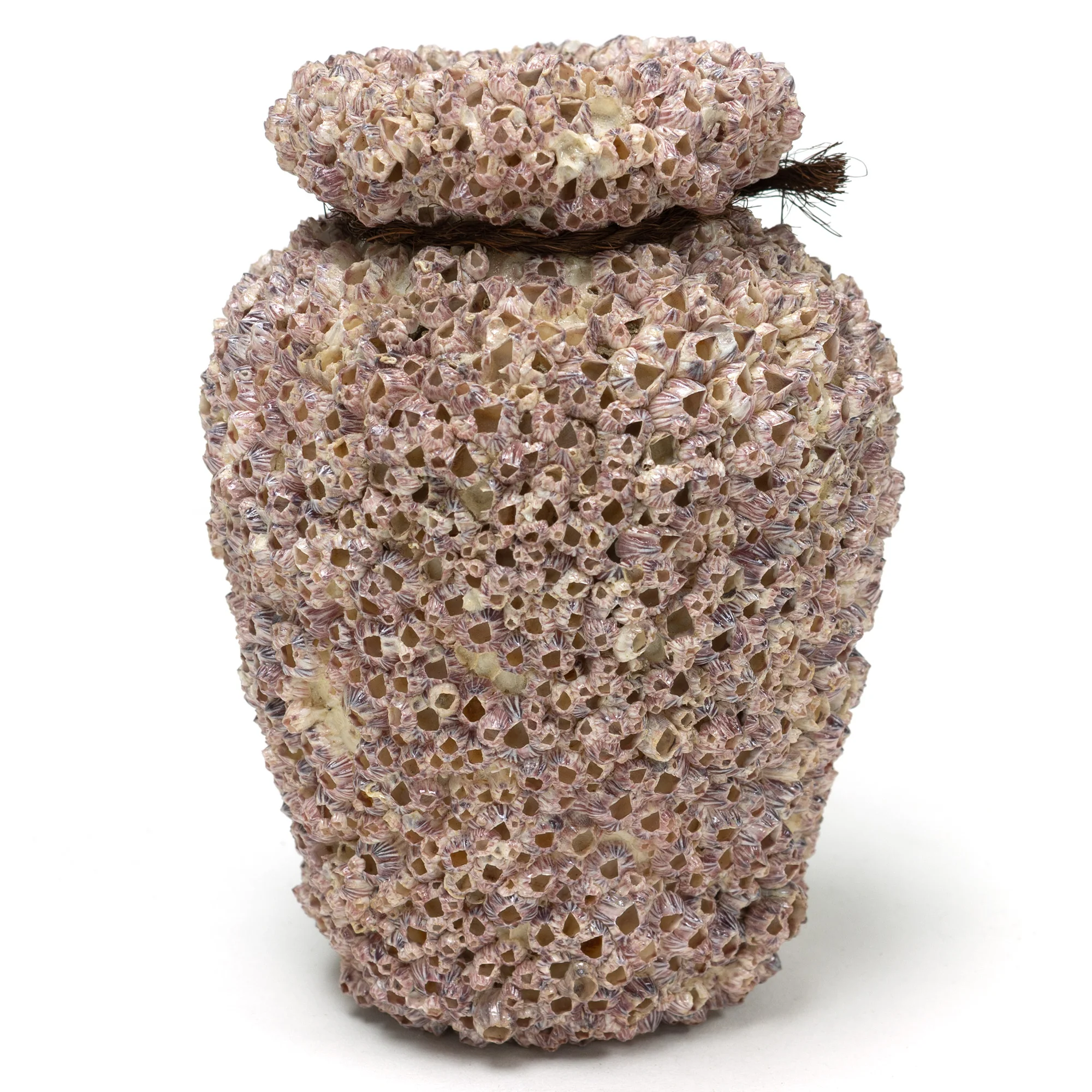 Small Takotsubo | Barnacle Encrusted Antique Japanese Pot - Image 3