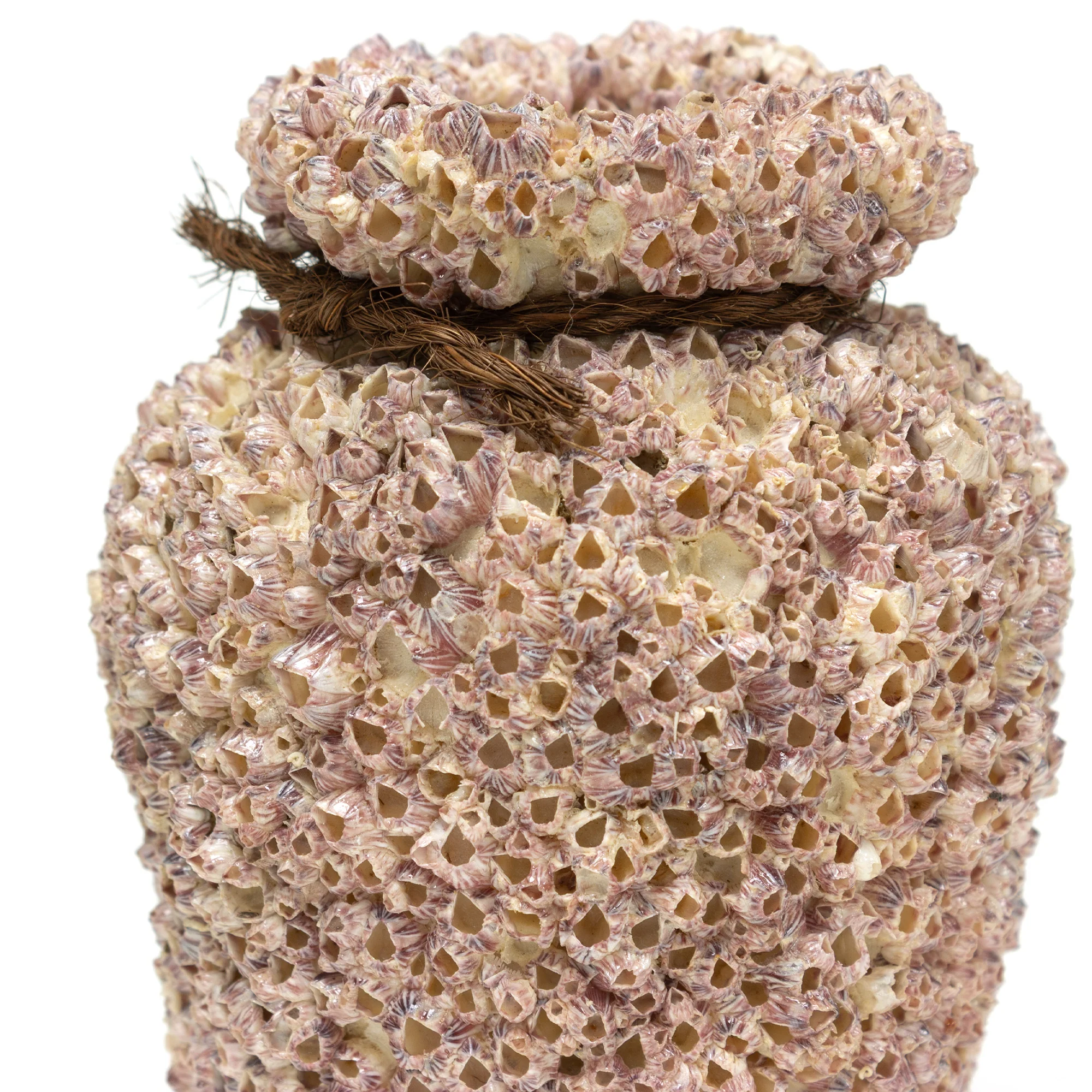 Small Takotsubo | Barnacle Encrusted Antique Japanese Pot - Image 4