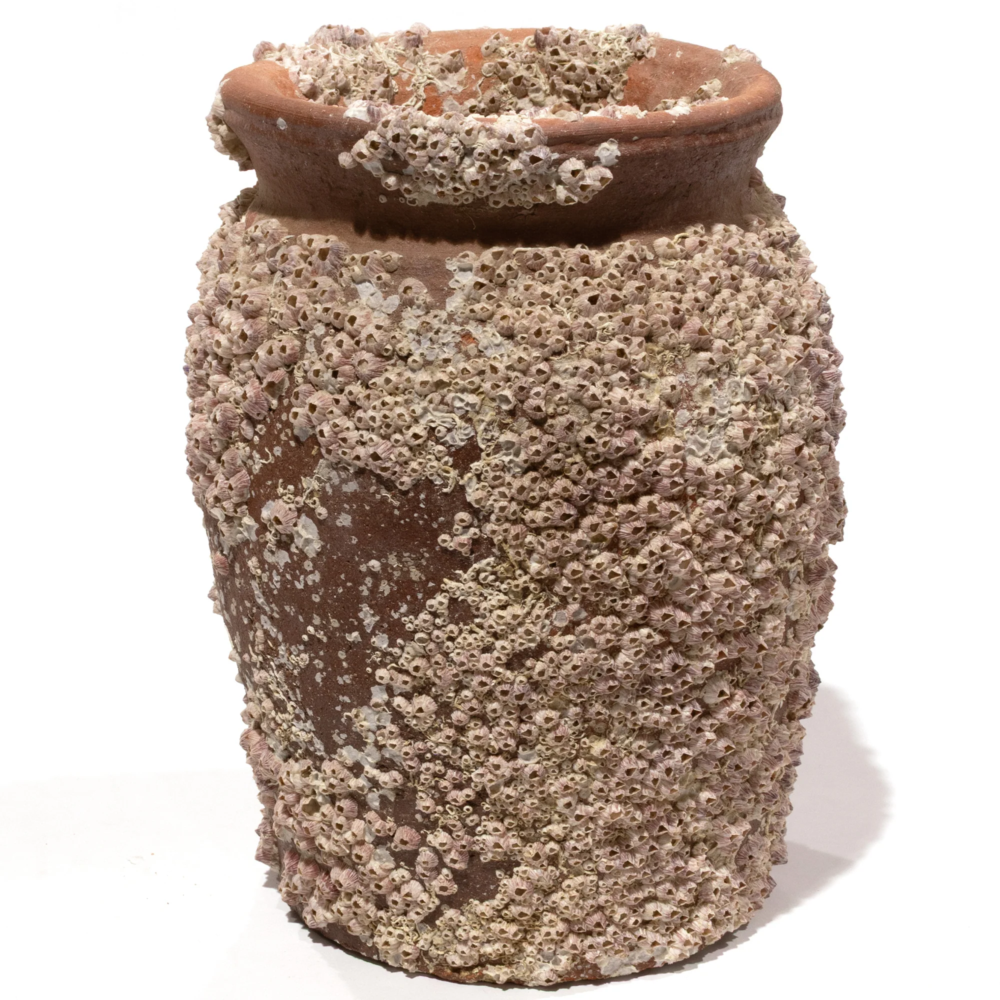 Takotsubo | Barnacle Encrusted Antique Japanese Pot - Image 2