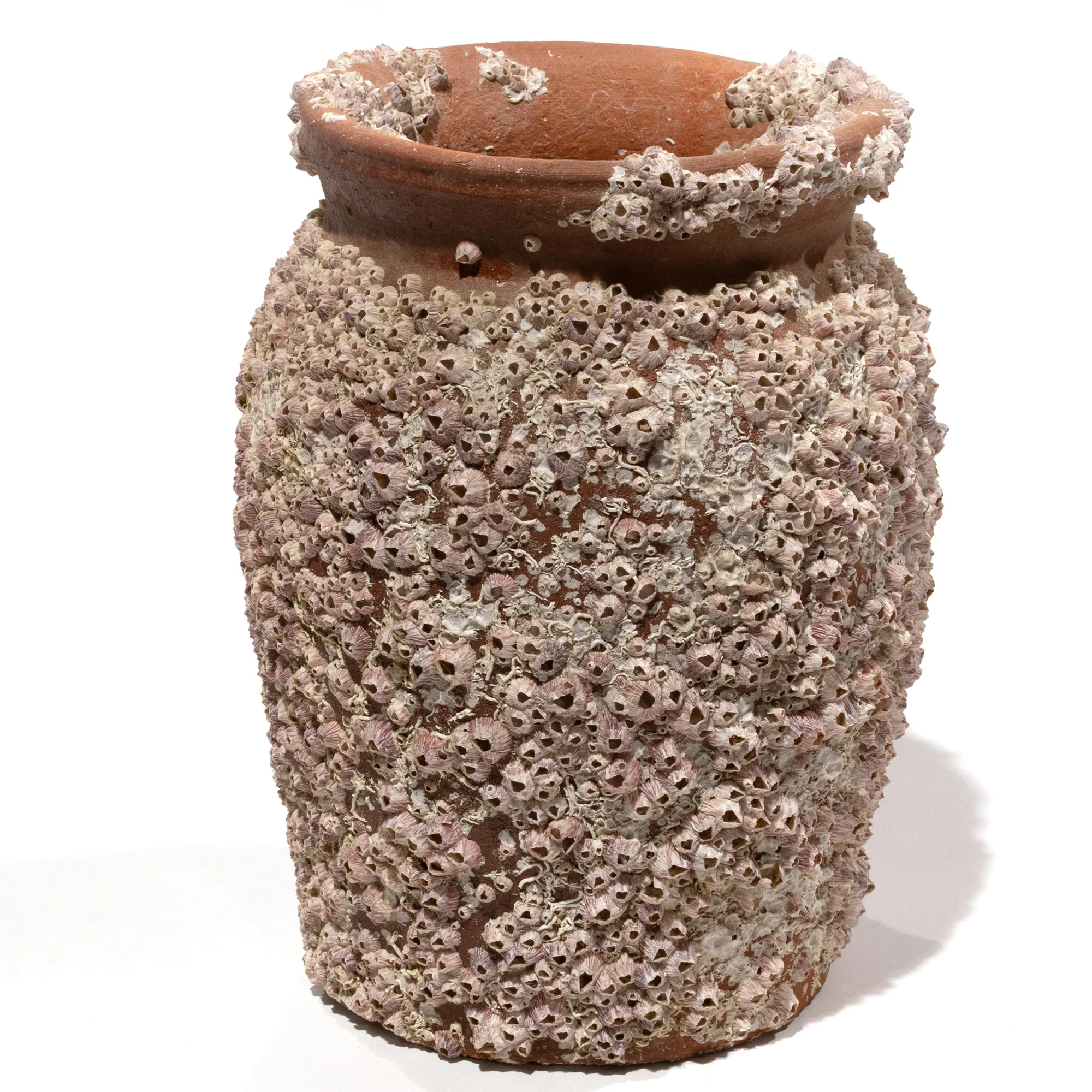 Takotsubo | Barnacle Encrusted Antique Japanese Pot - Image 3
